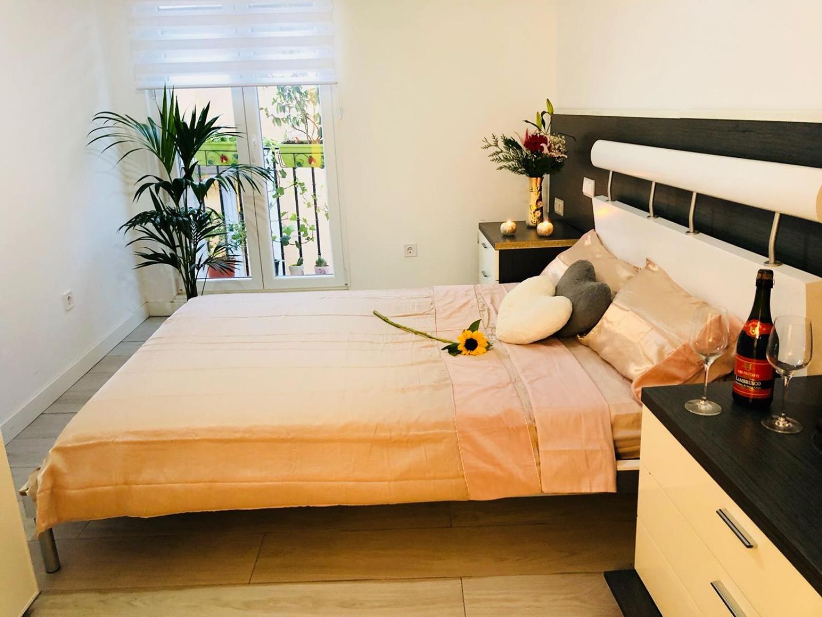Studio Apartment photo 3