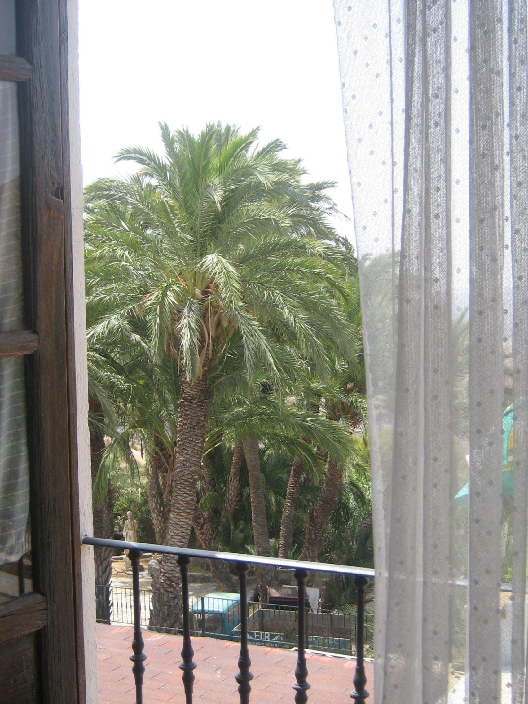 Twin Room with View photo 2