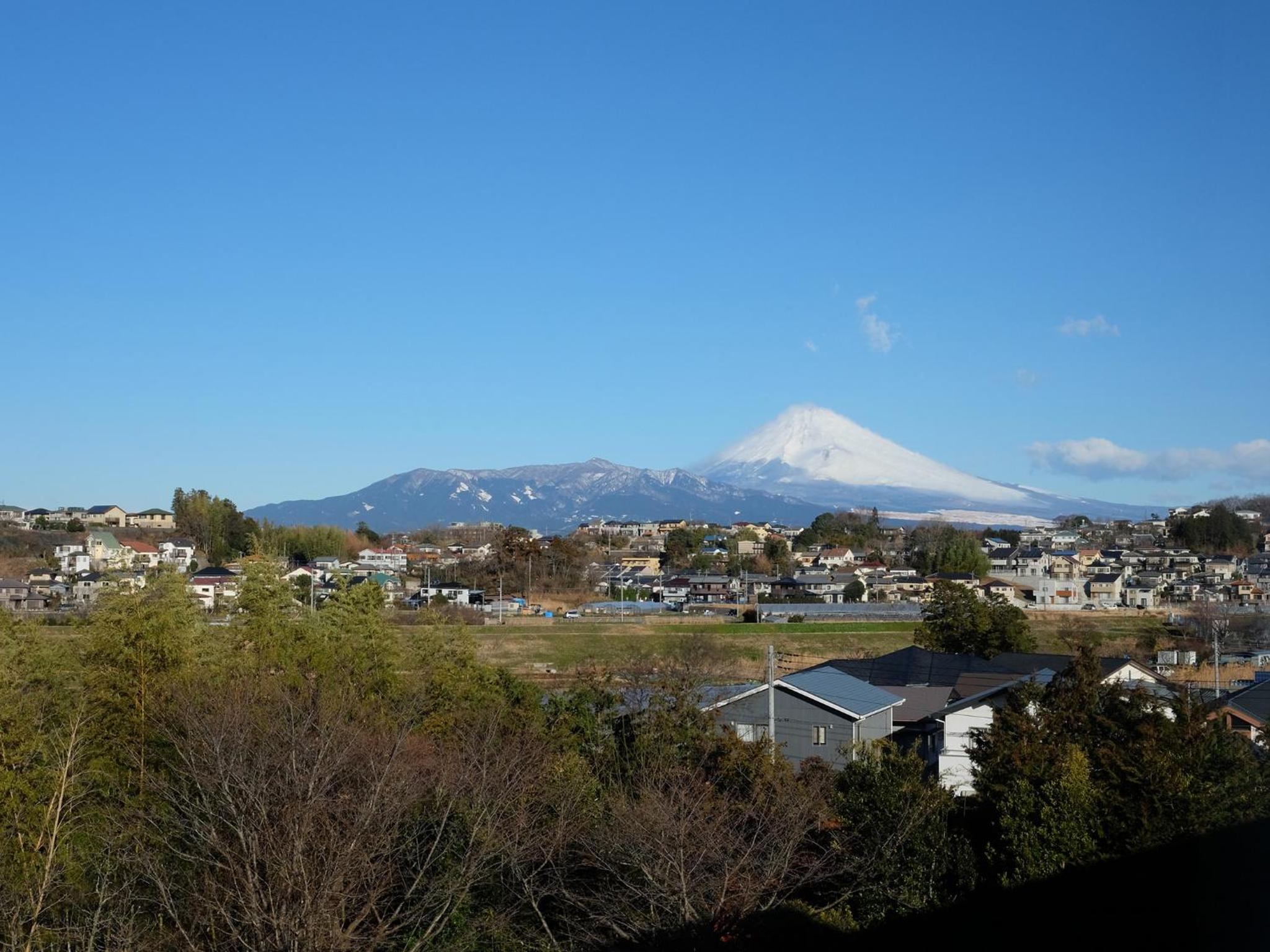 Japanese-Style Room photo 2