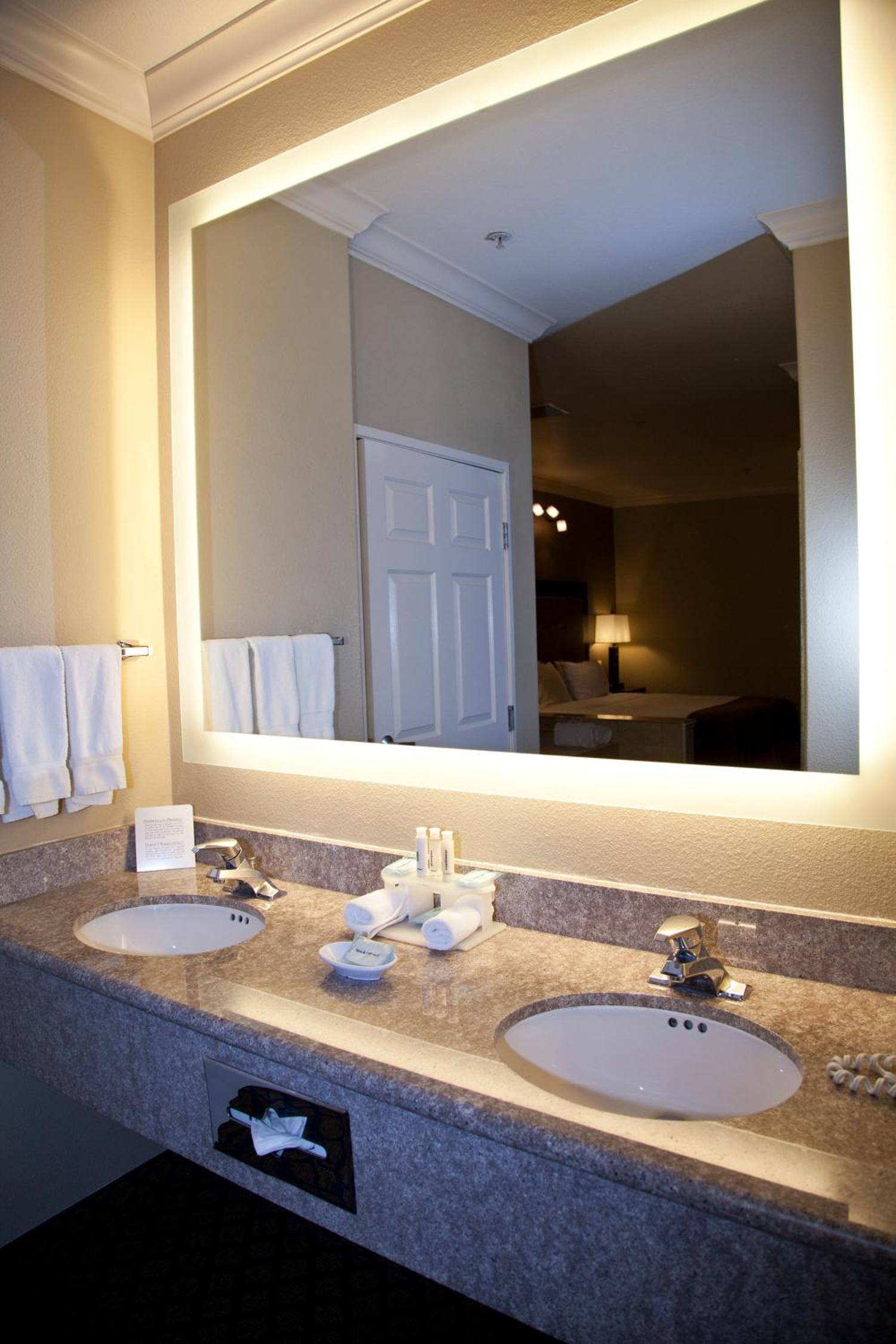 One-Bedroom King Suite - Photo 4