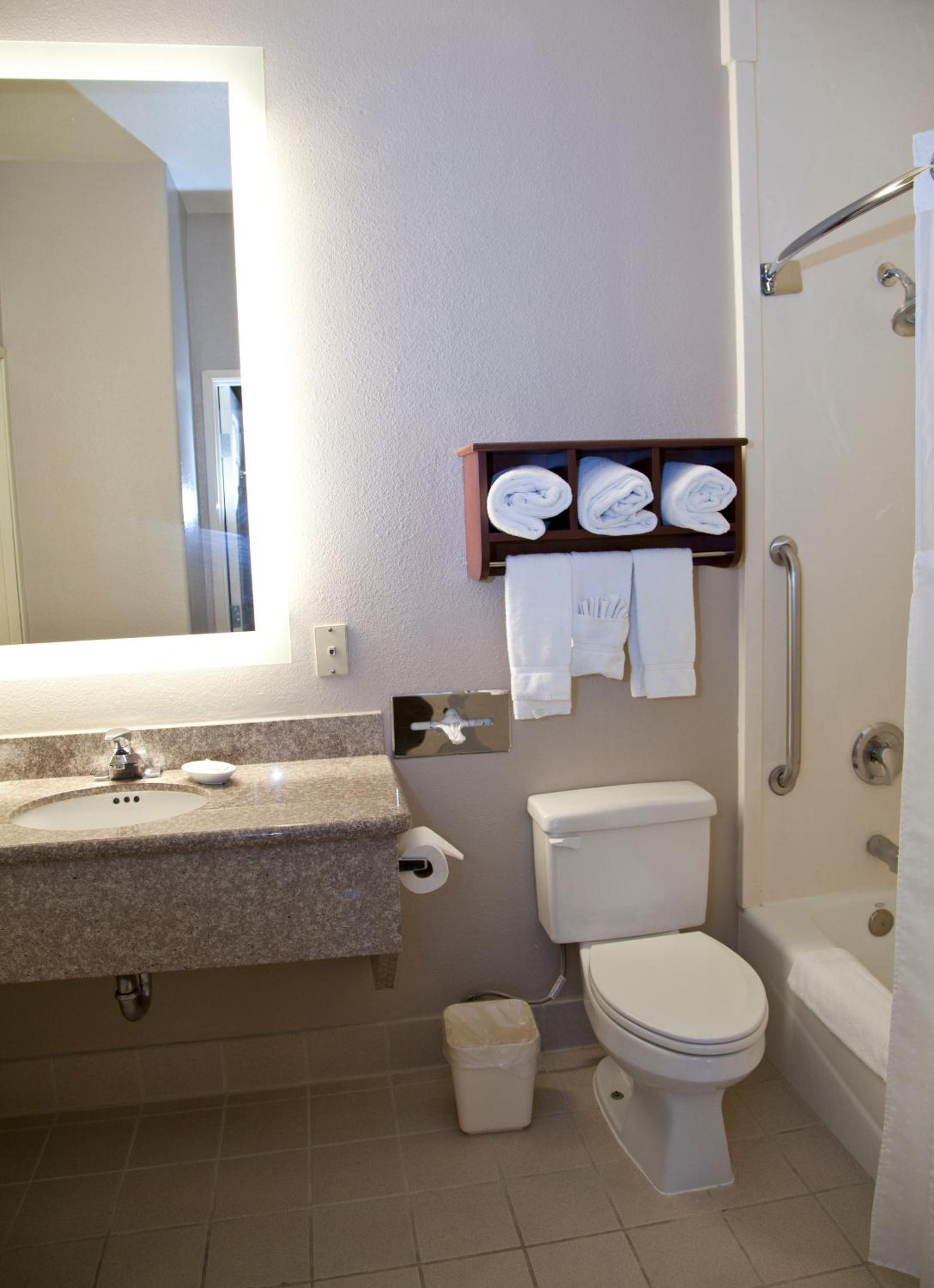 Suite with Mobility Accessible Tub - Non-Smoking - Photo 2