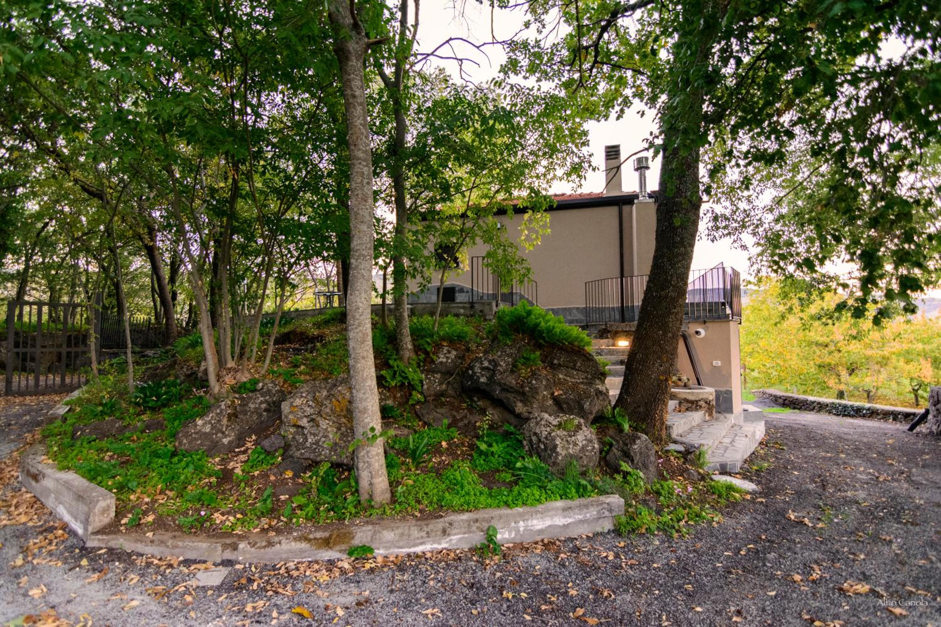 Vacation Home photo 3