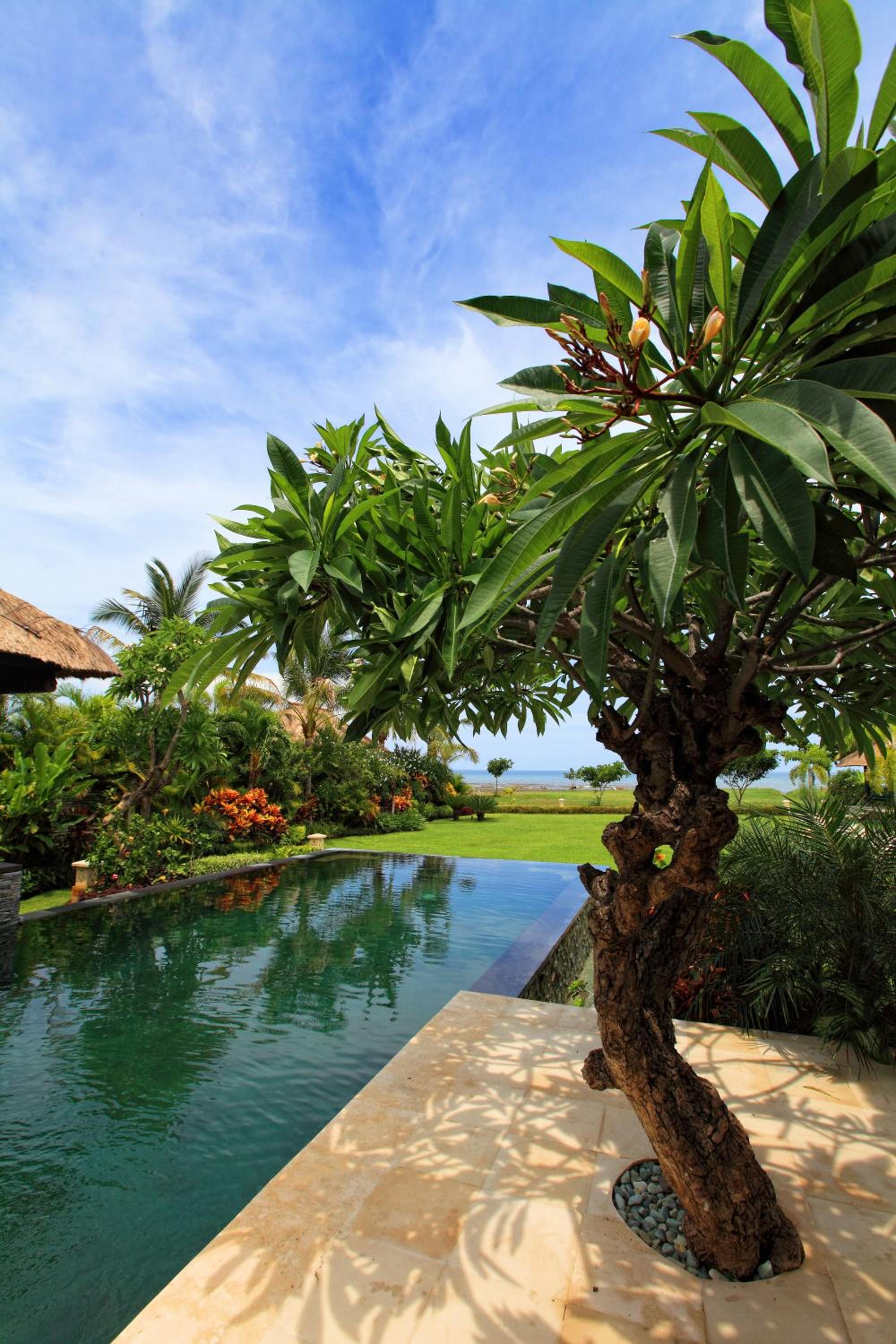 Superior Villa photo 2