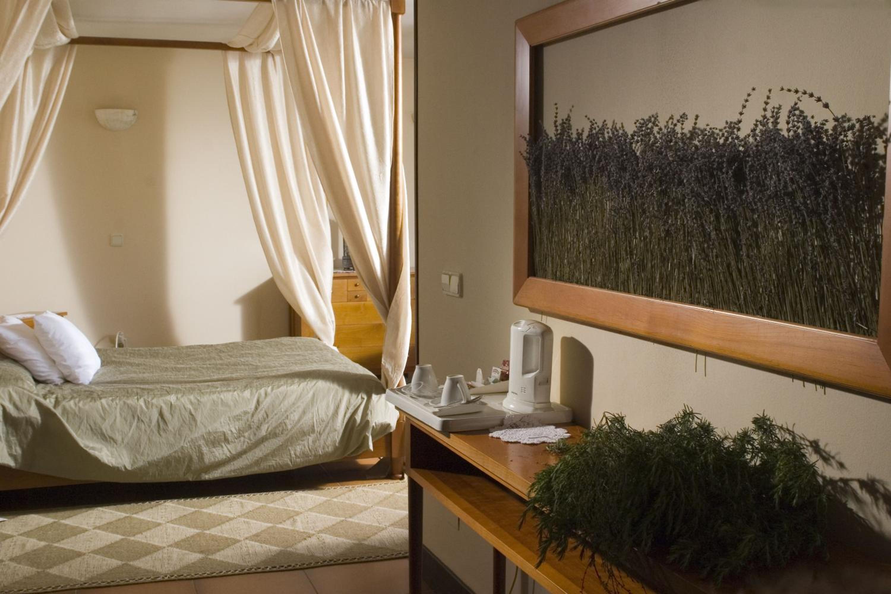 Junior Suite photo 2
