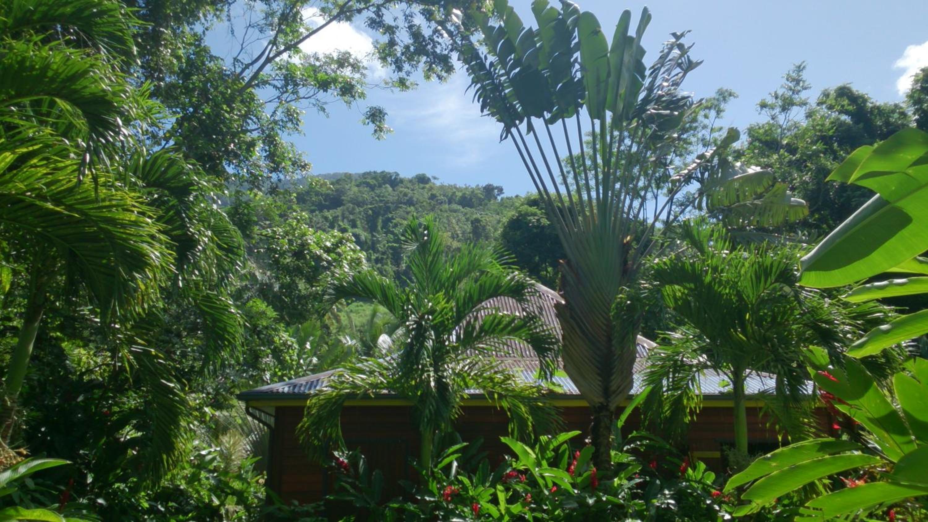 Bungalow with Garden View - Photo 14