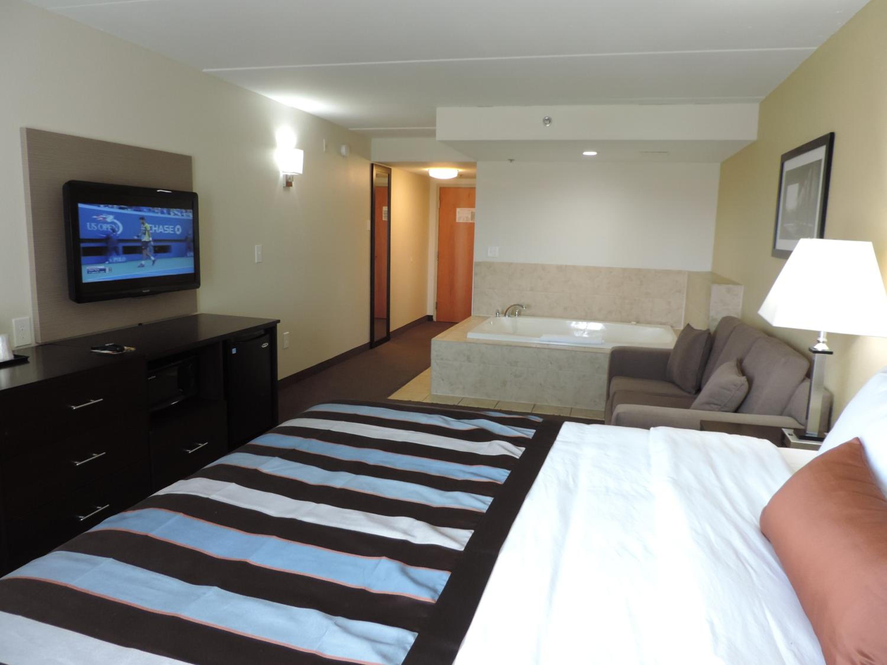 Deluxe King Studio Suite - Non-Smoking - Photo 3
