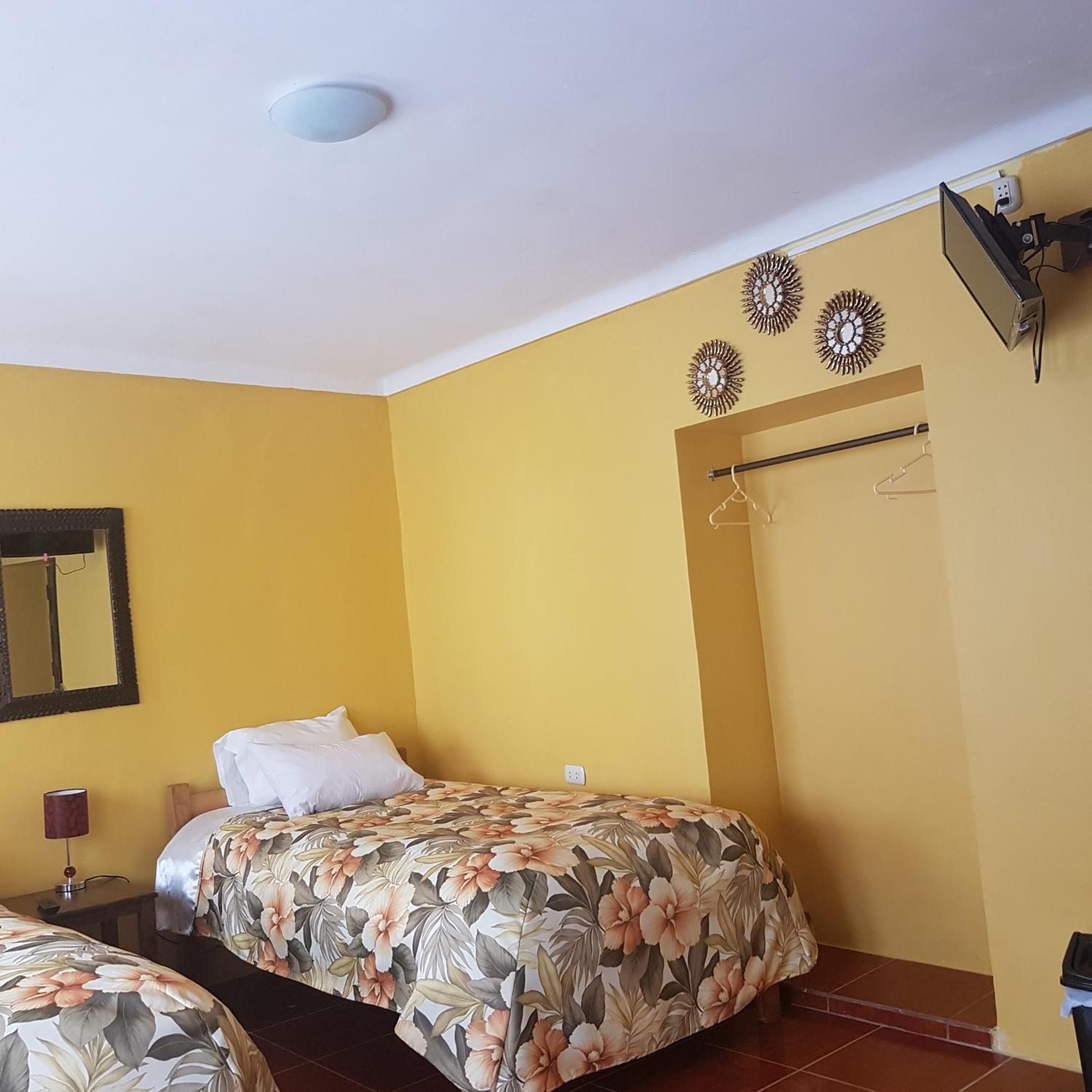 Twin Room photo 2