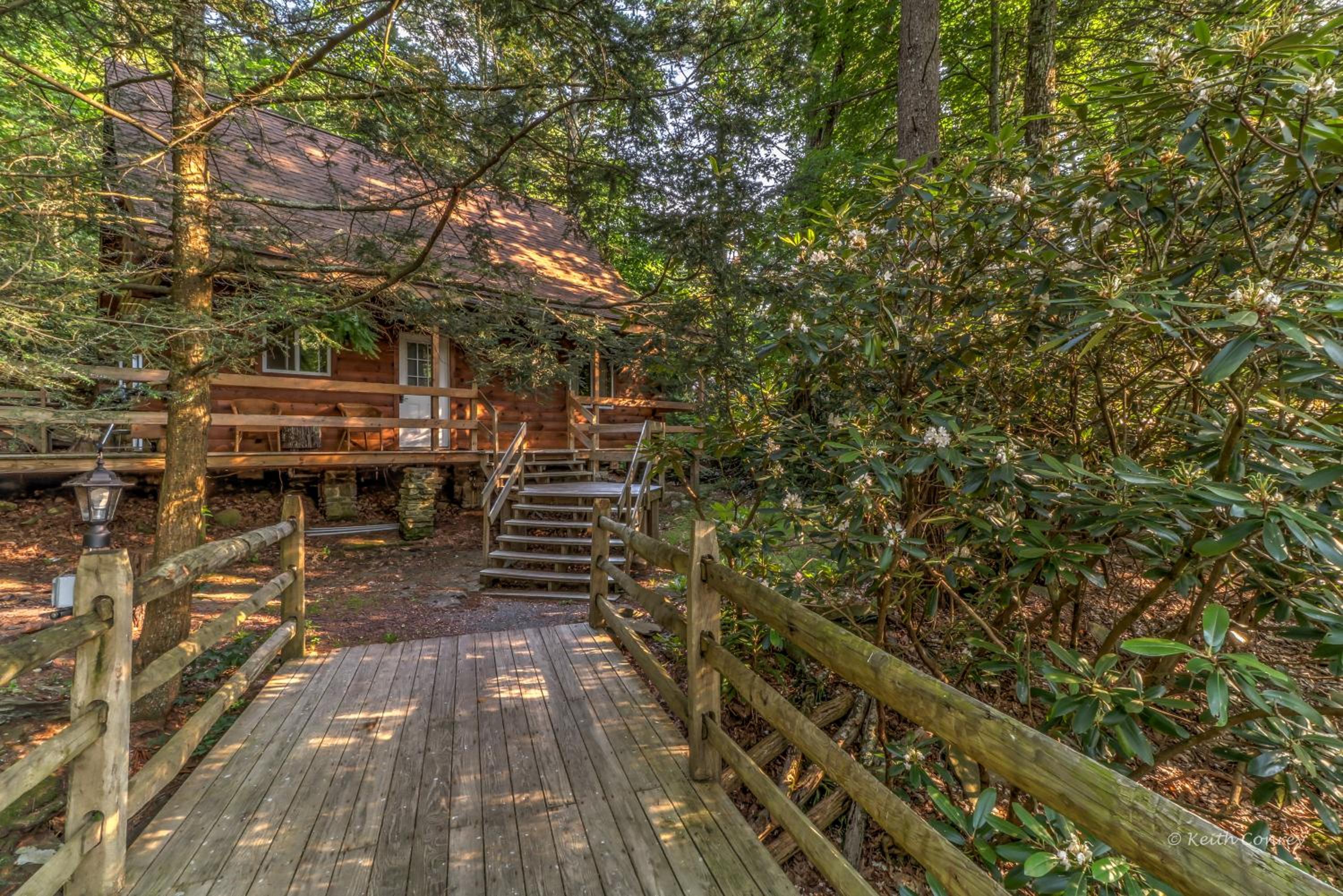 Moss Cottage photo 2