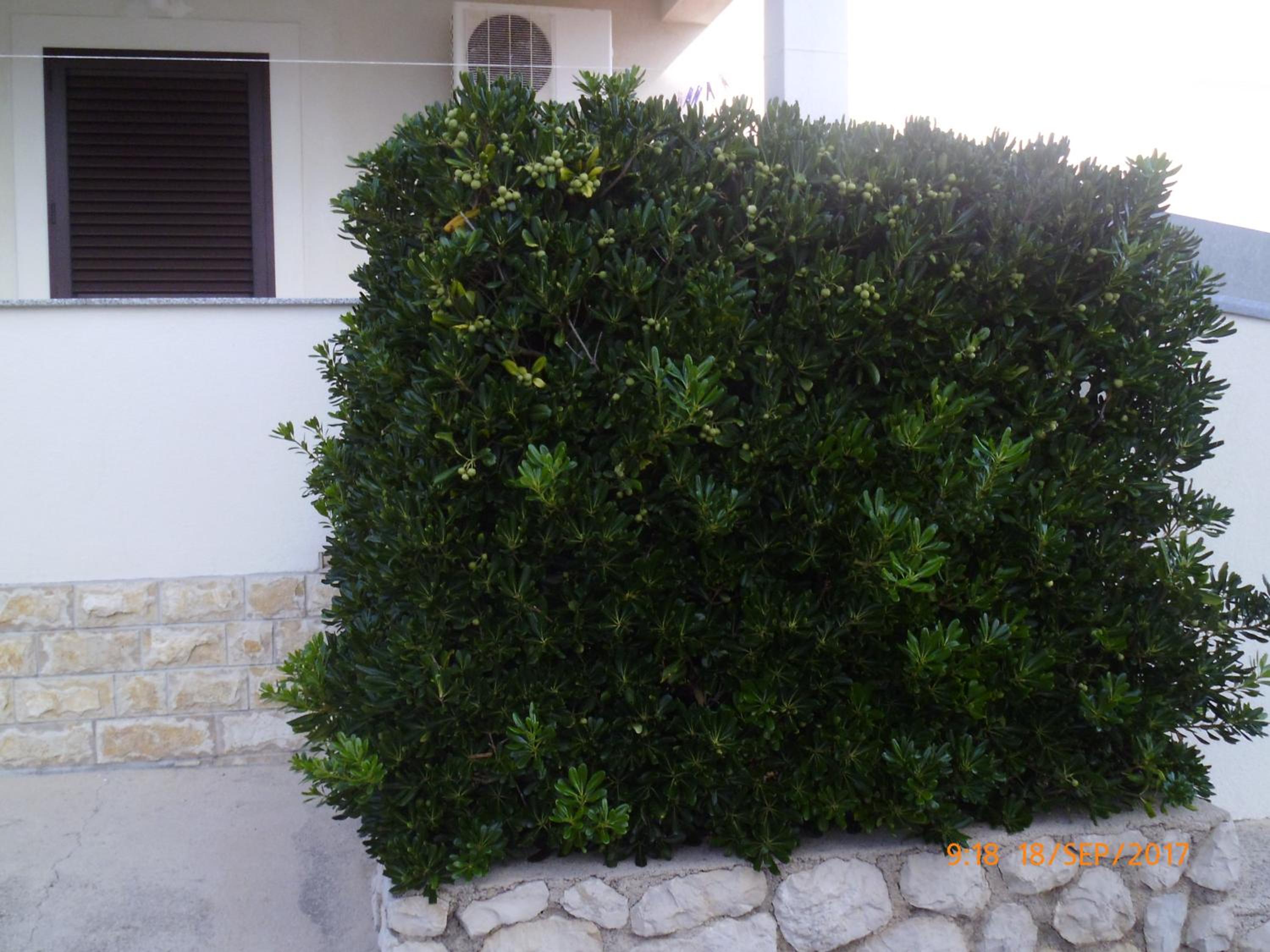 Studio Apartment - Photo 27