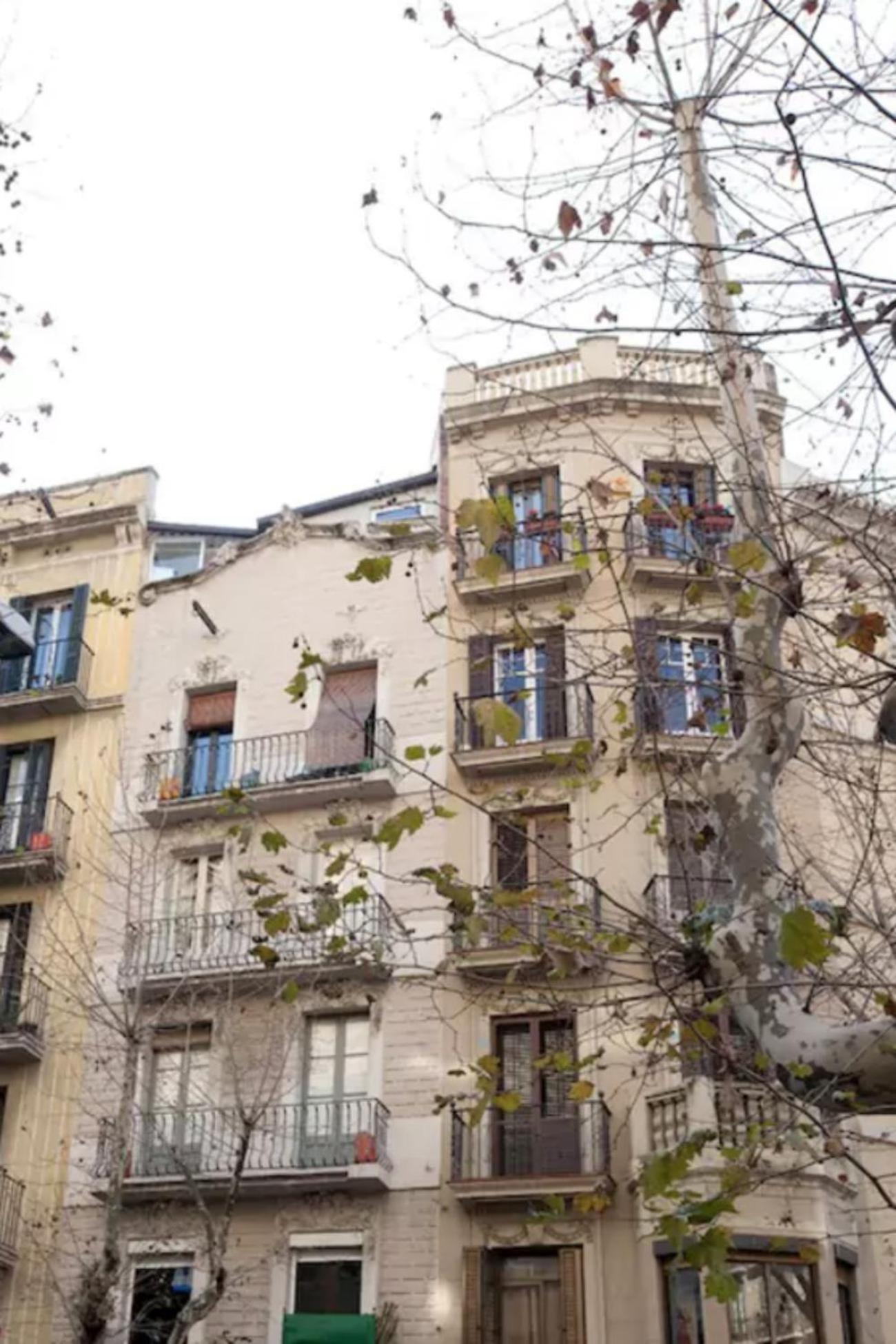 Apartment with Terrace thumbnail 6