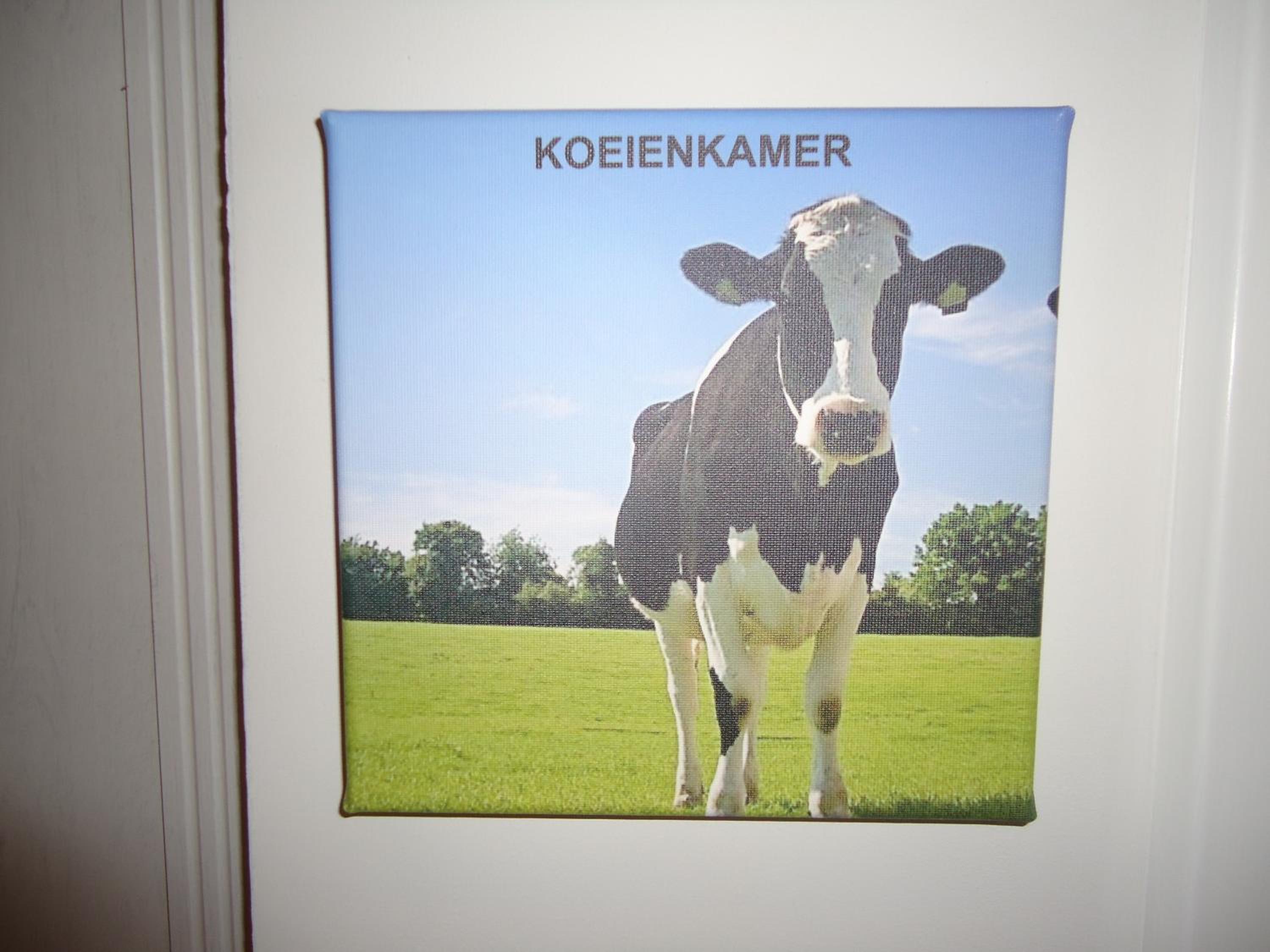B&B Morskershoeve, Foto 5