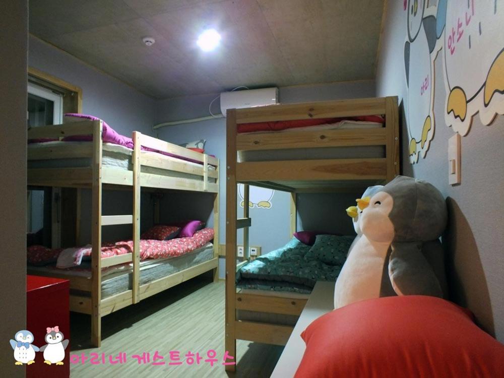 Bed in 4-Bed Female Dormitory Room photo 1