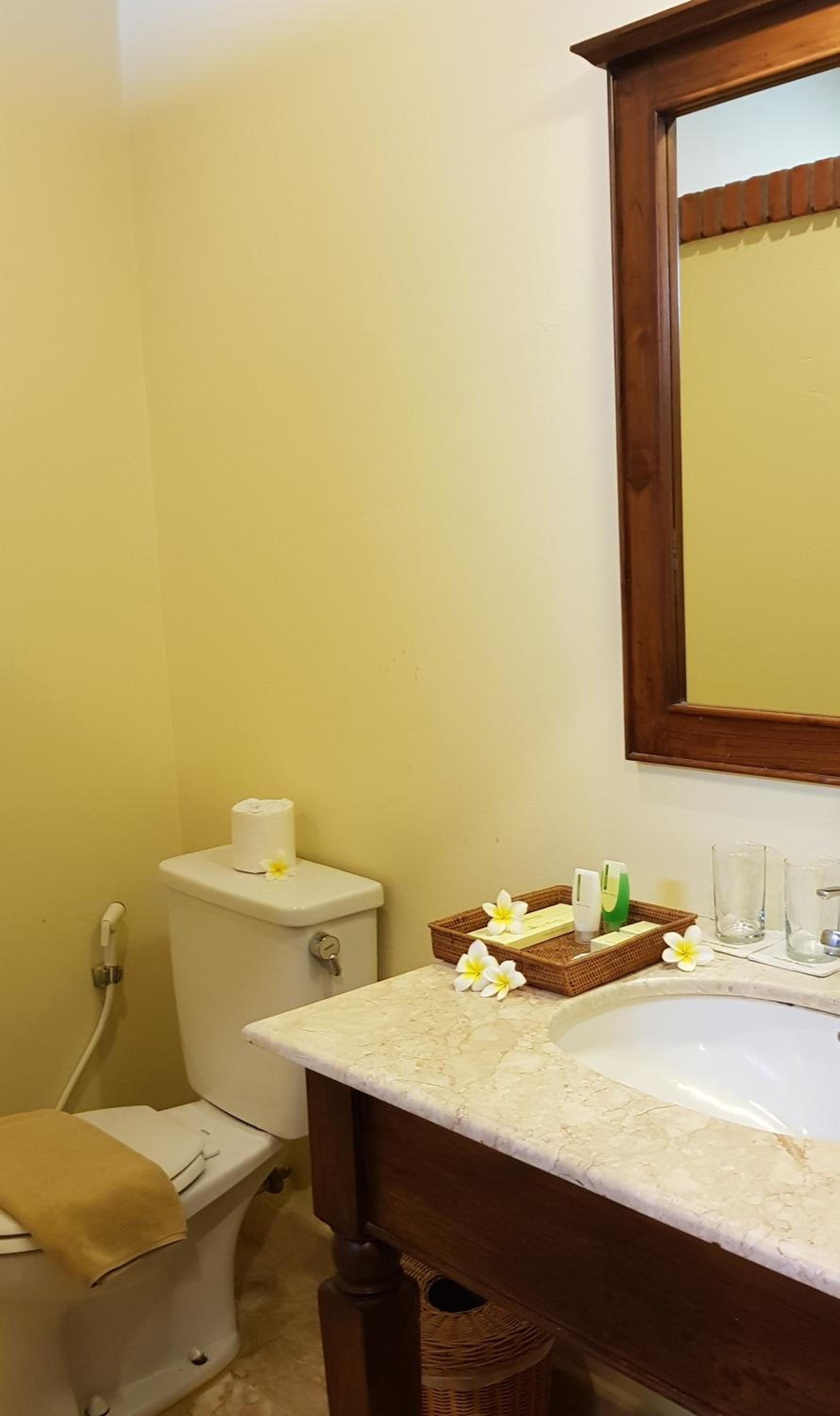 Superior Double or Twin Room photo 3