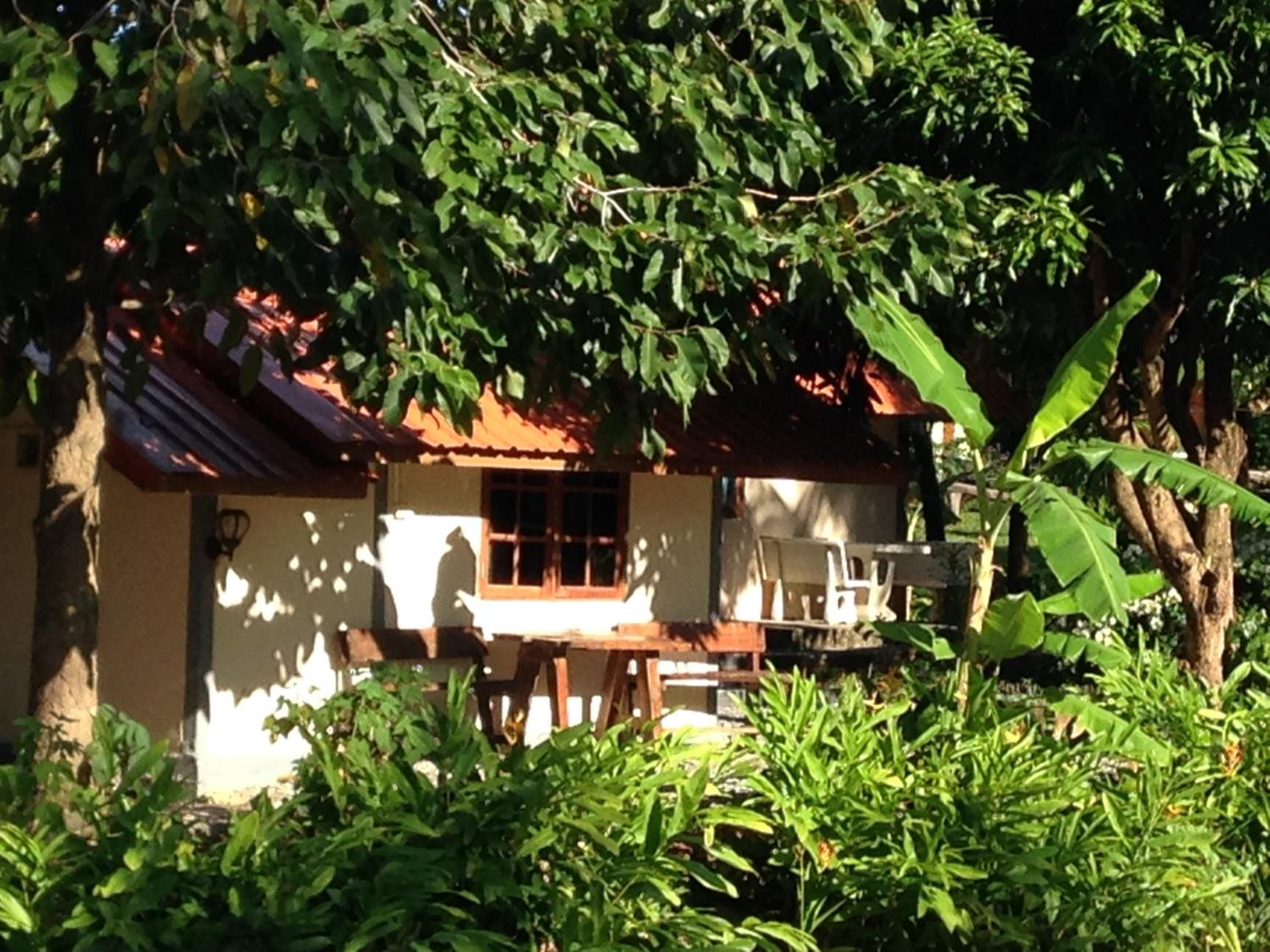 Standard Bungalow photo 2