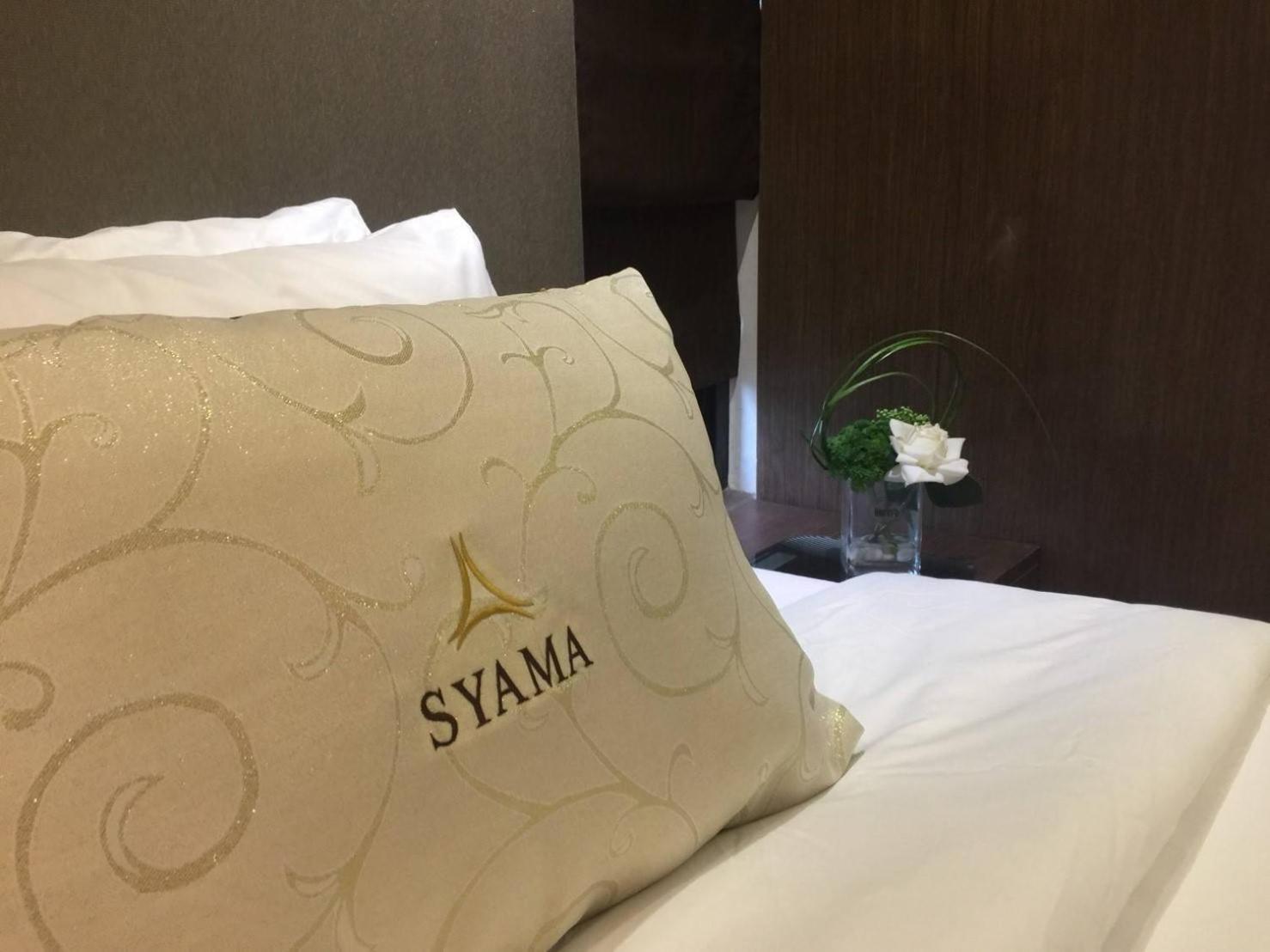 Premium Suite photo 2