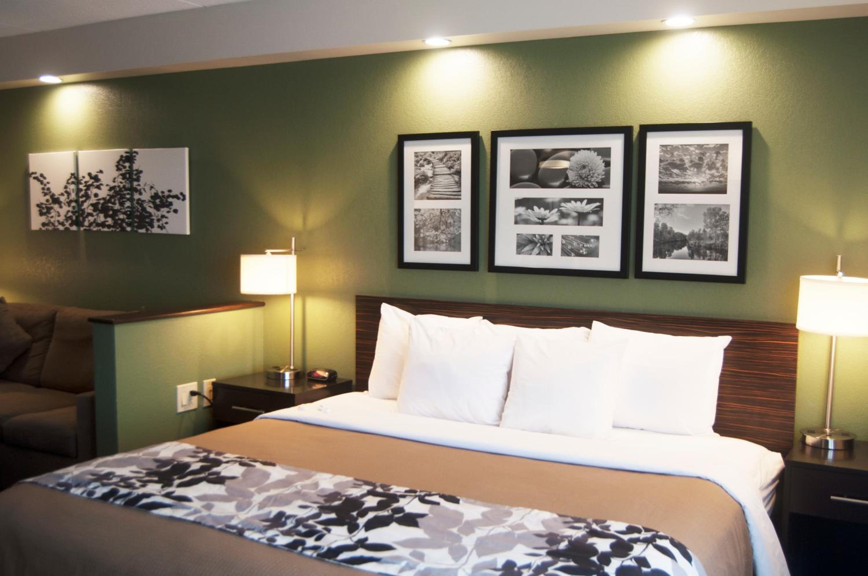 King Suite with Spa Bath - Photo 3