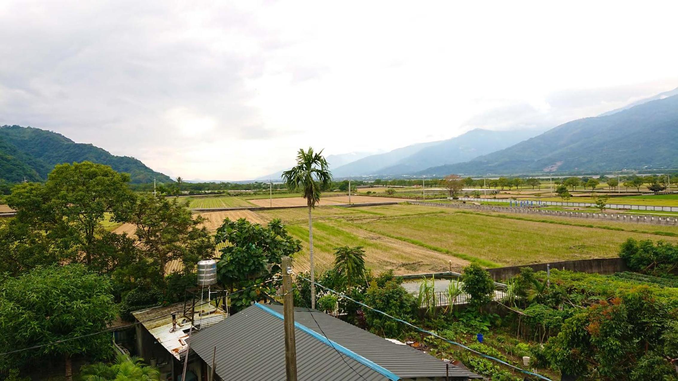 Quadruple Room with Garden View photo 3