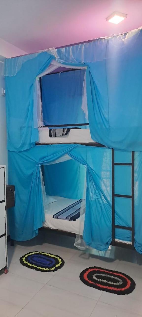 Bunk Bed in Mixed Dormitory Room photo 1
