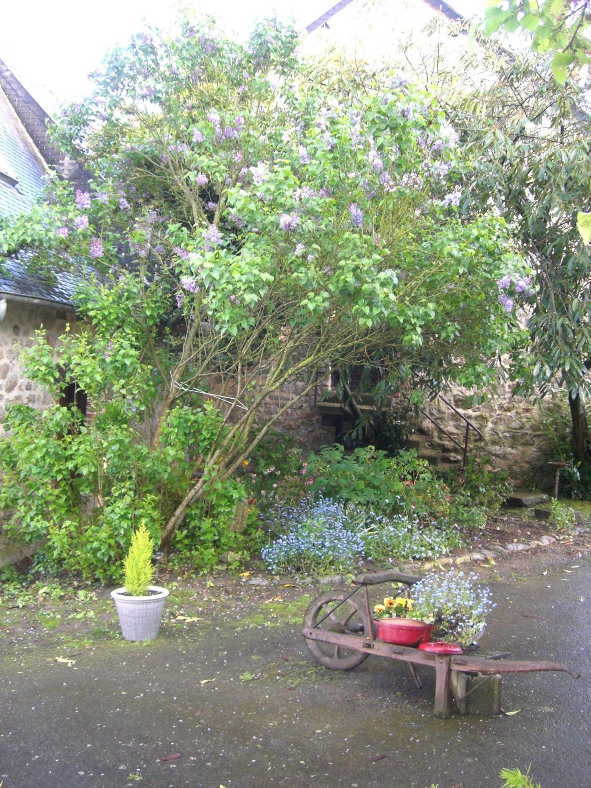 Two-Bedroom Cottage - Photo 7