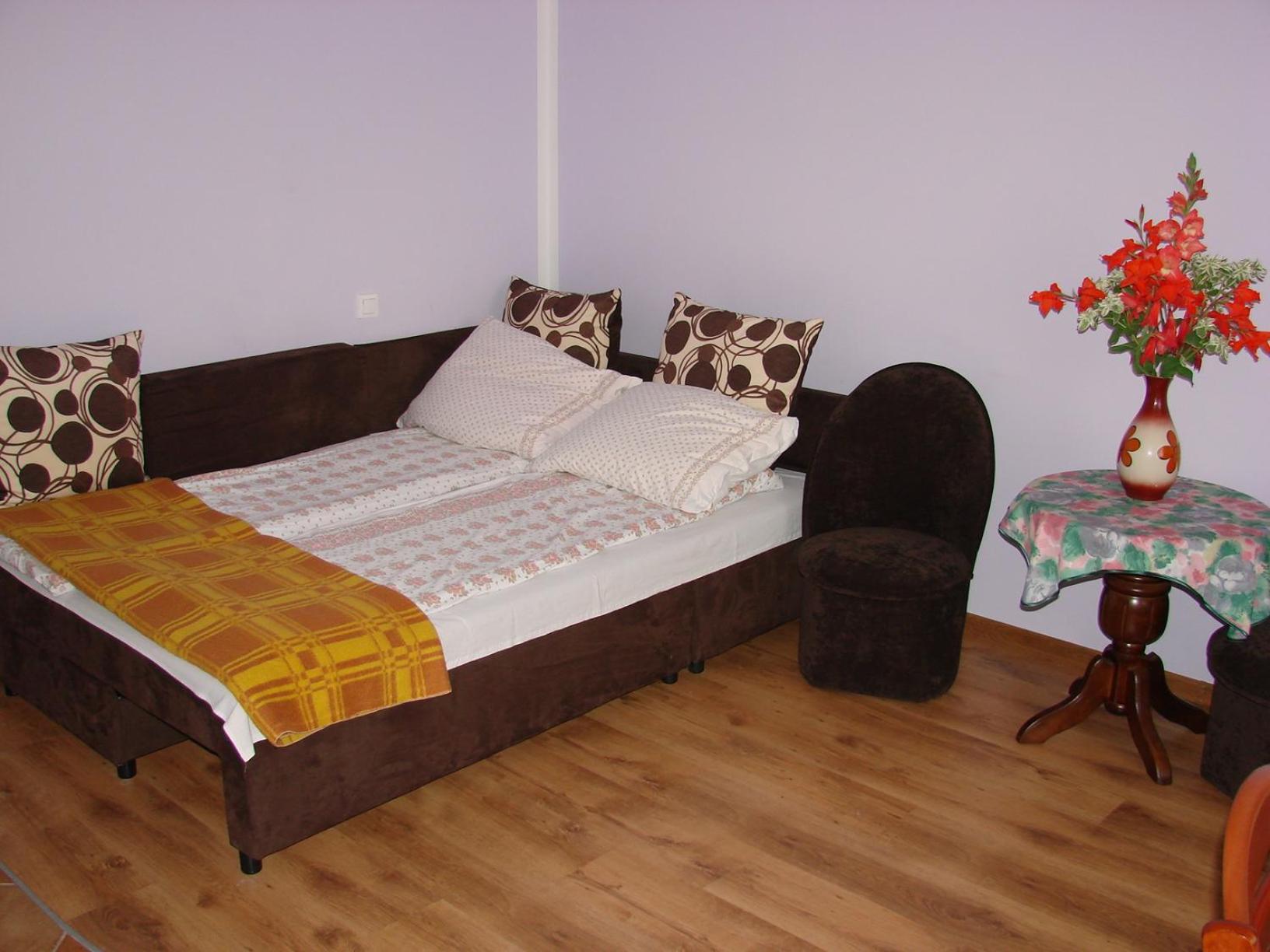 Studio with Terrace photo 1