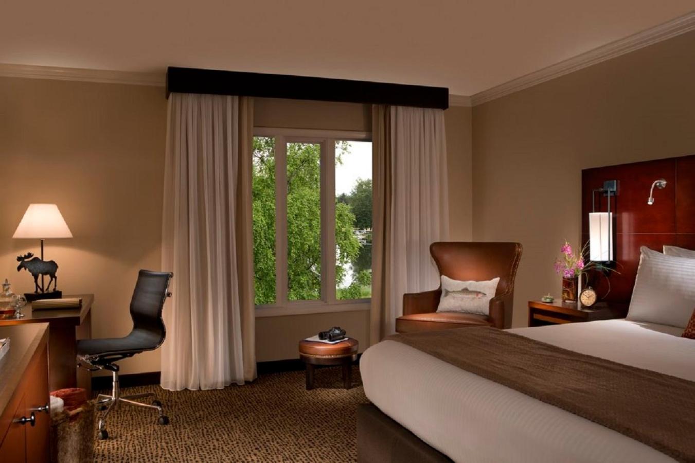 Deluxe King Room - Photo 4