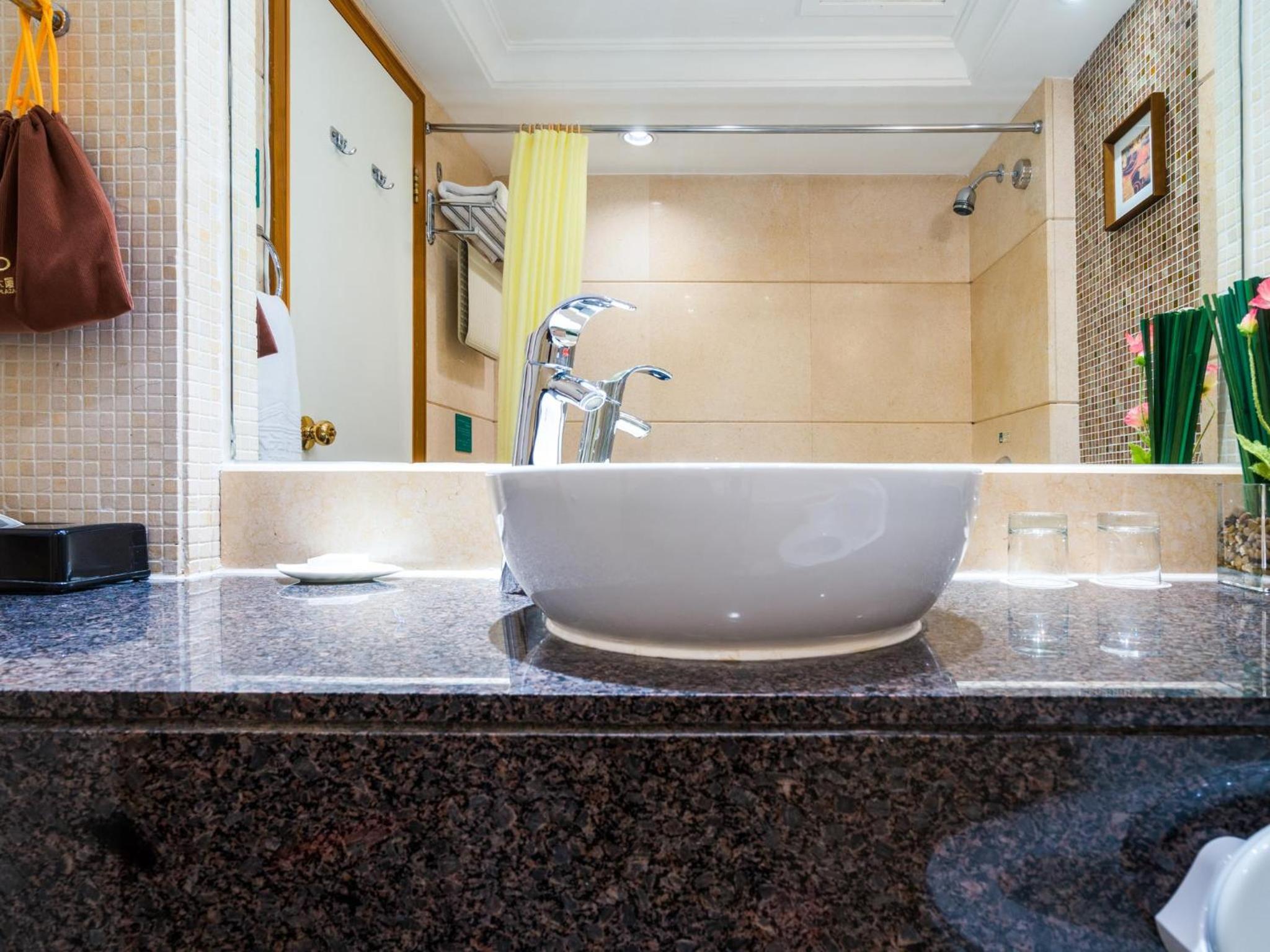 Deluxe King Suite - Photo 8