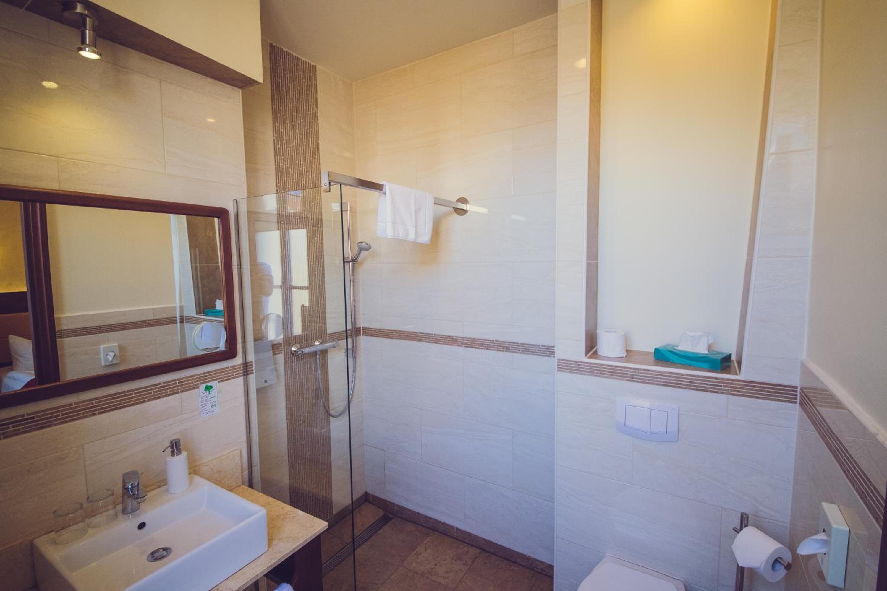 Business Double Room - Photo 13