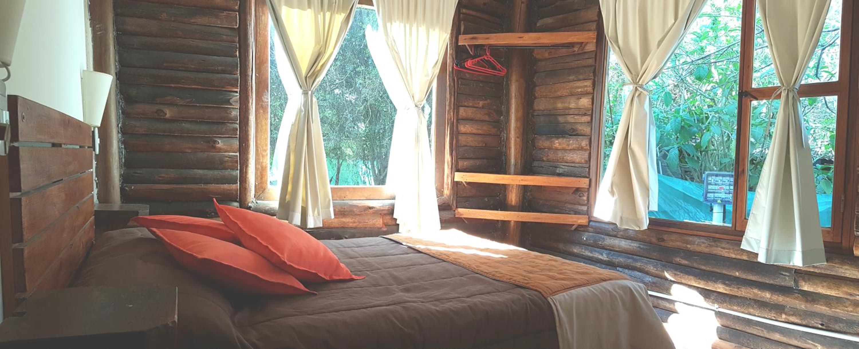 Double or Twin Room photo 1