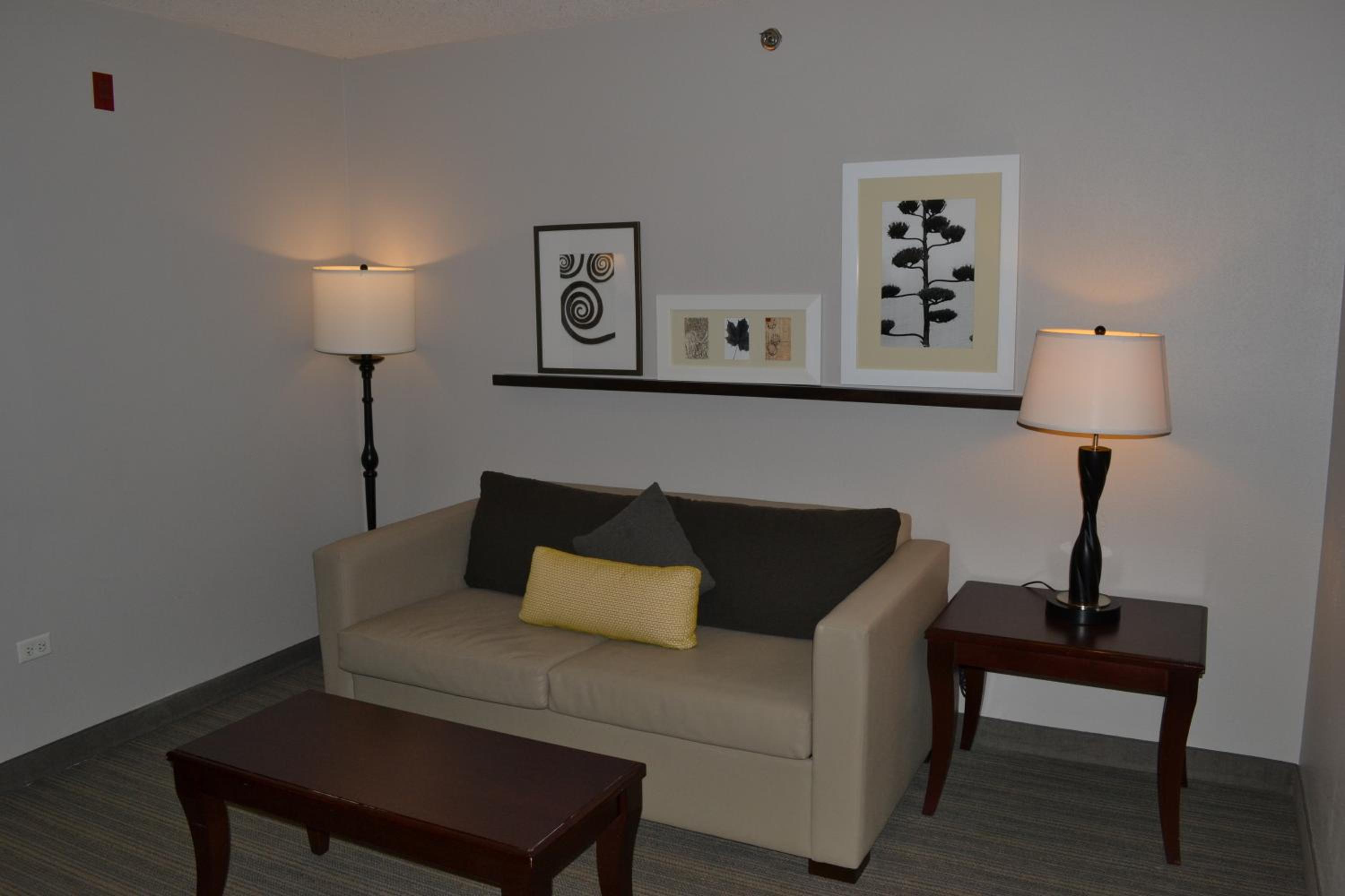 One-Bedroom King Suite photo 3