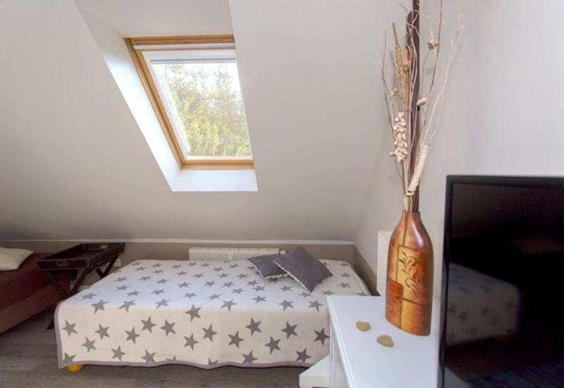 Apartment with Terrace photo 2
