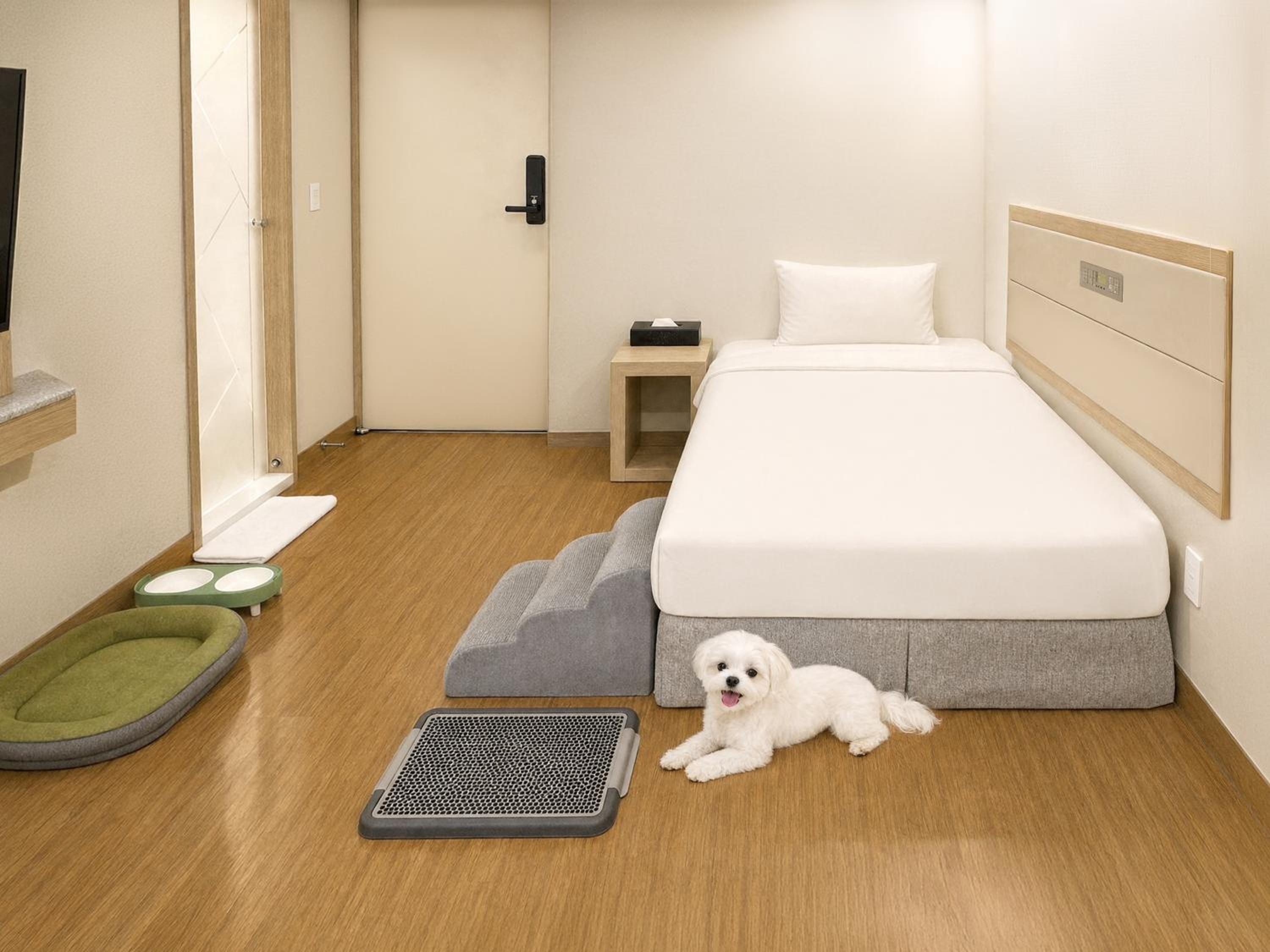 PET Single photo 3