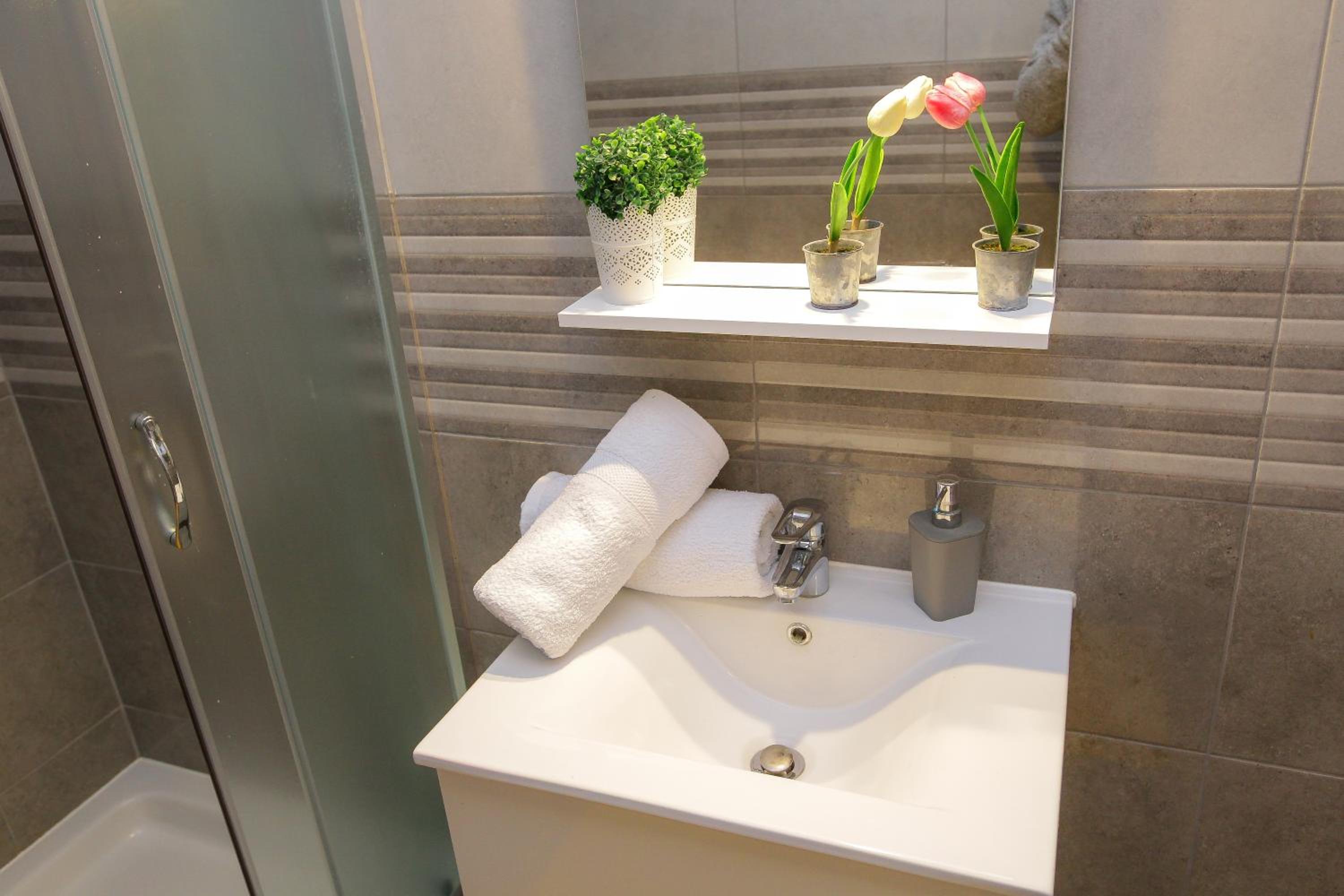 Deluxe One-Bedroom Apartment with Terrace - Photo 3