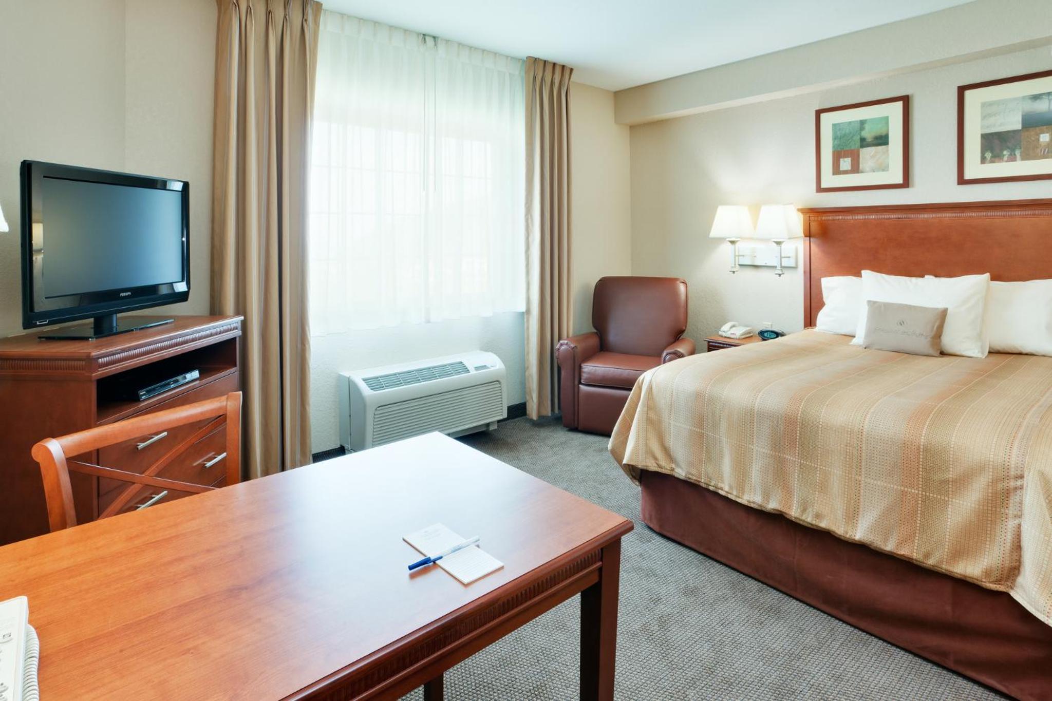 Studio Queen Suite - Photo 1