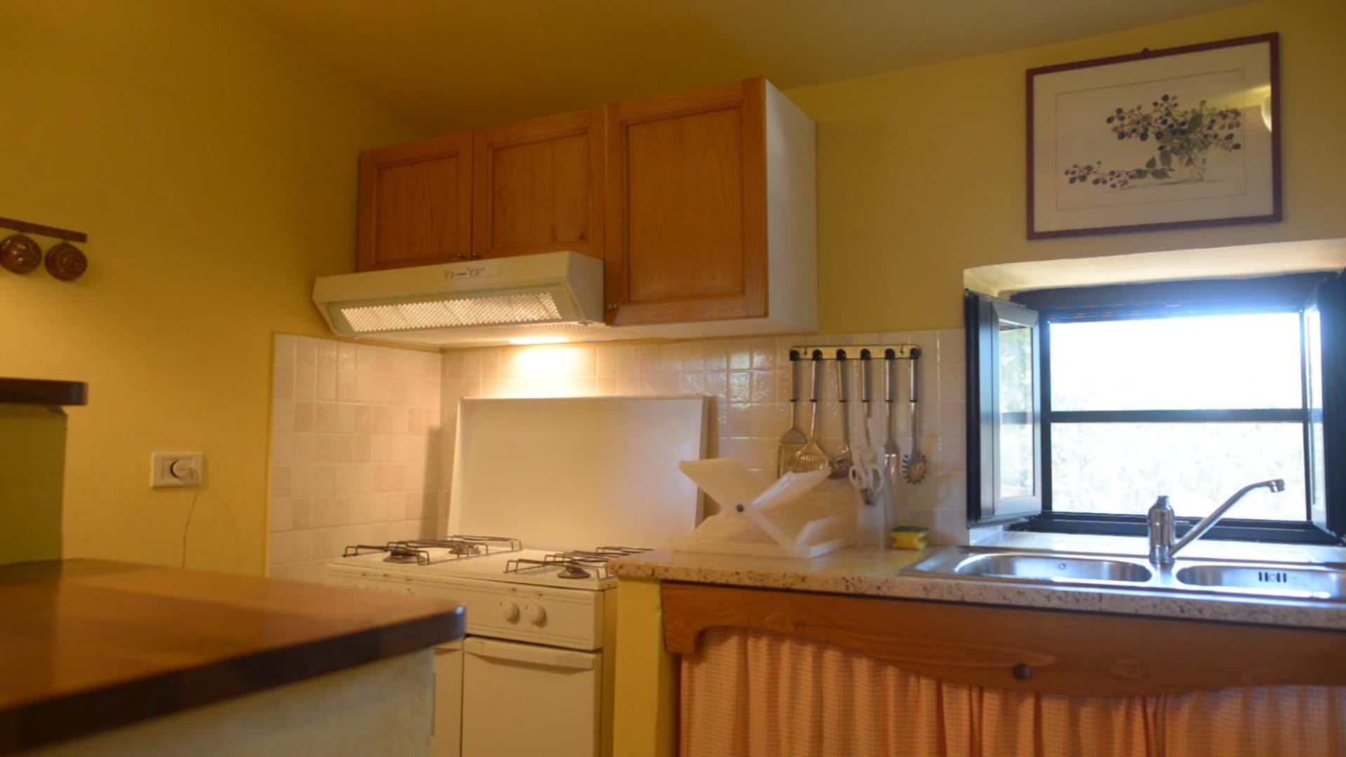 One-Bedroom Apartment photo 2