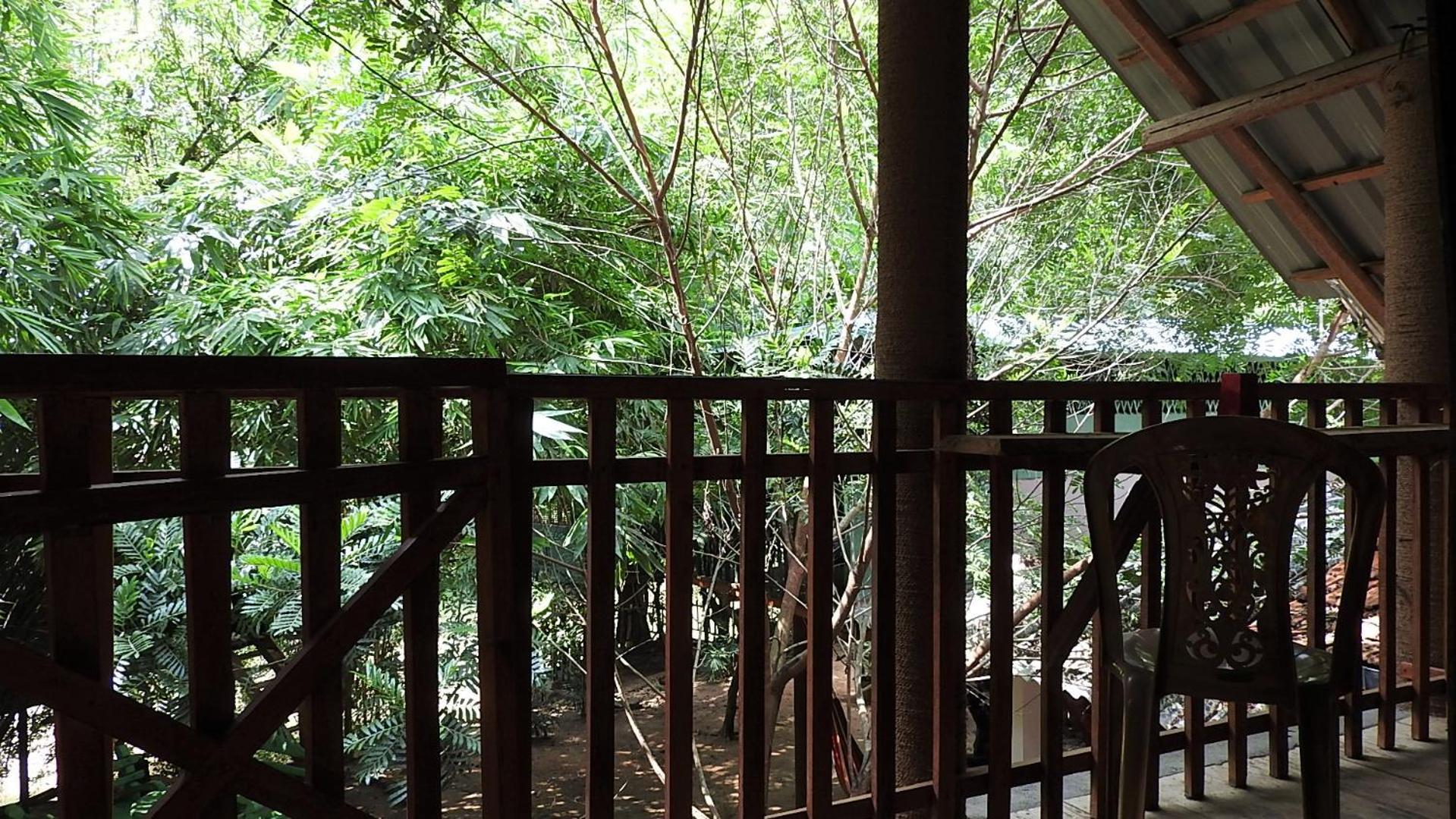 Double Room with Garden View photo 3