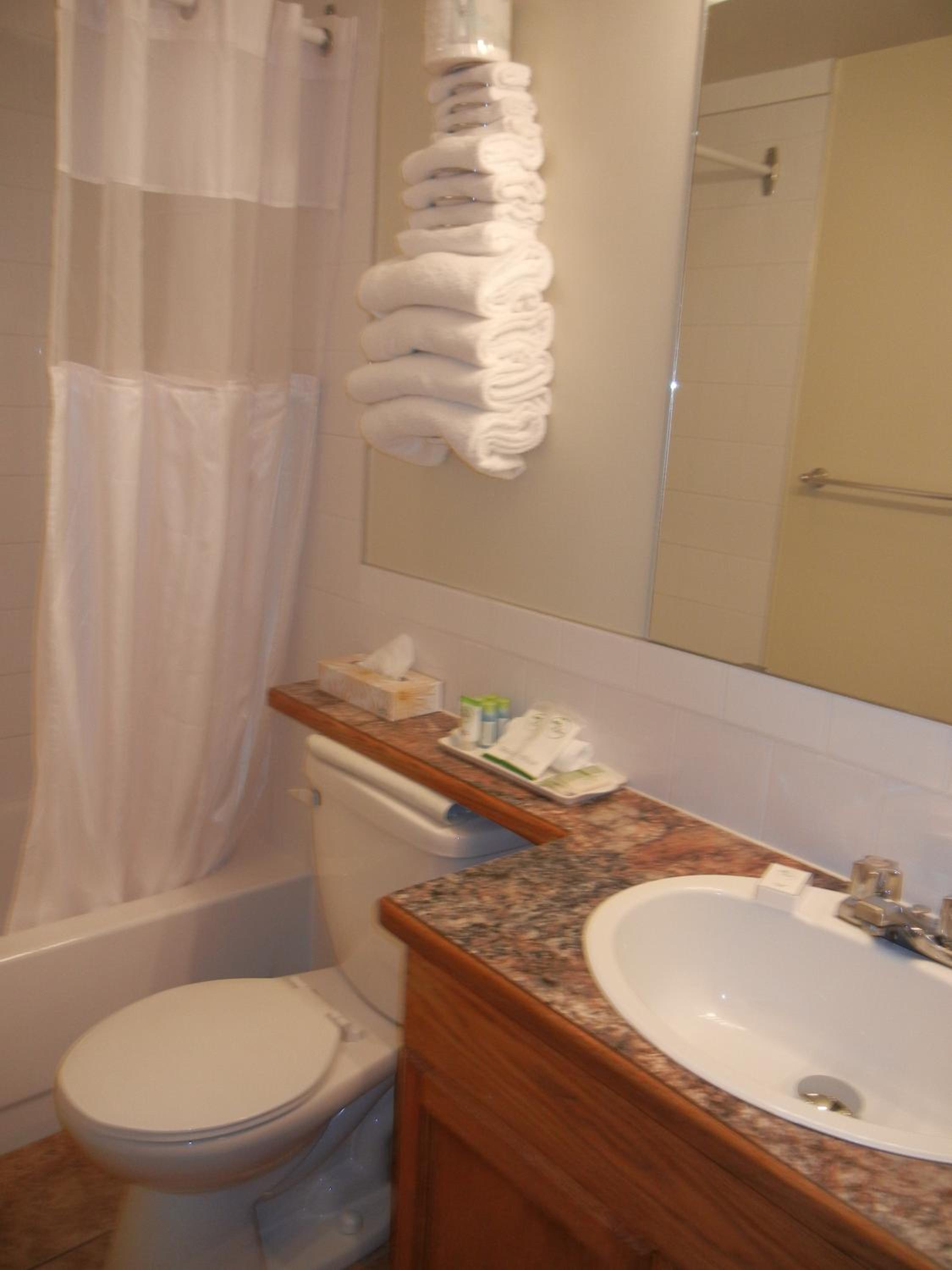 Deluxe Studio - Non Pet Friendly - Photo 5