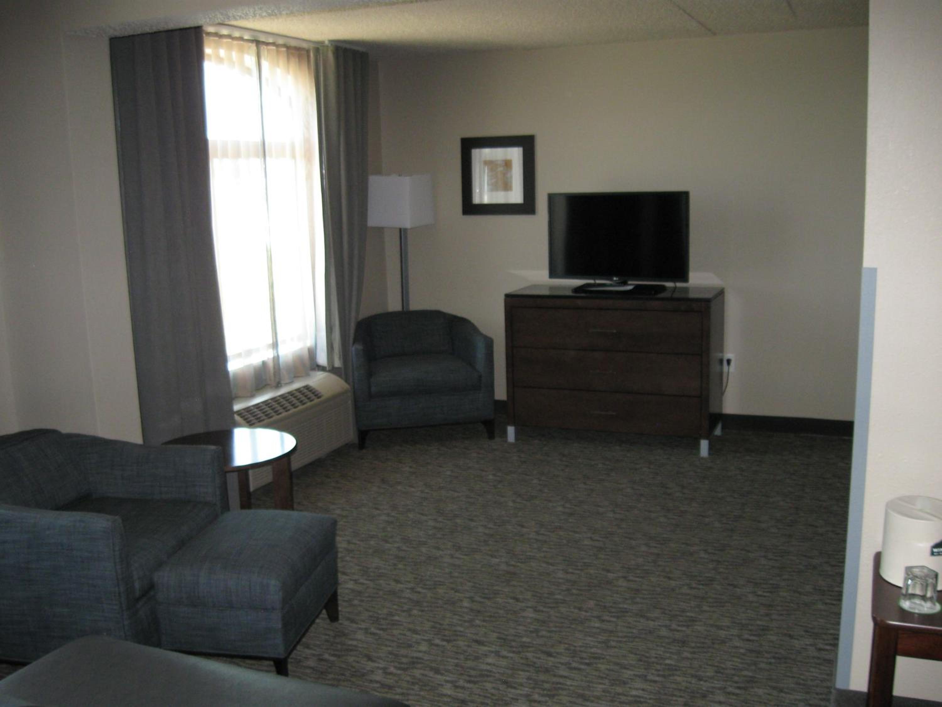 Deluxe King Suite - Non-Smoking - Photo 1