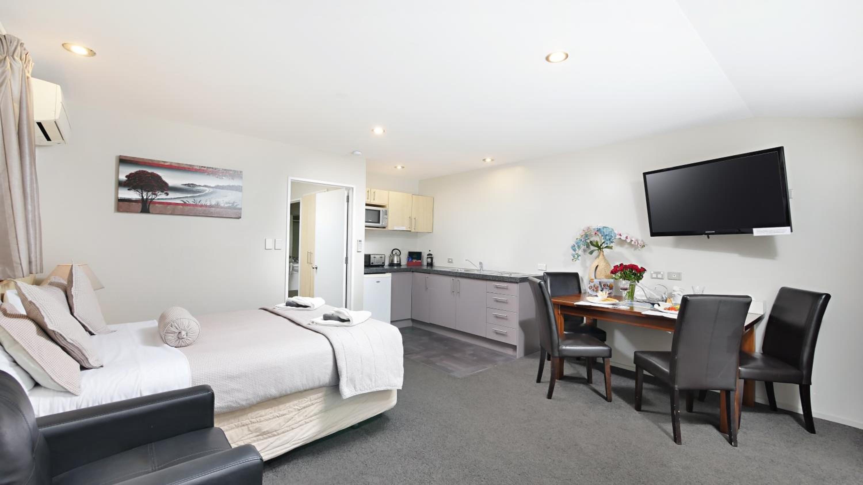 Large One Bedroom Apartment  - Photo 3