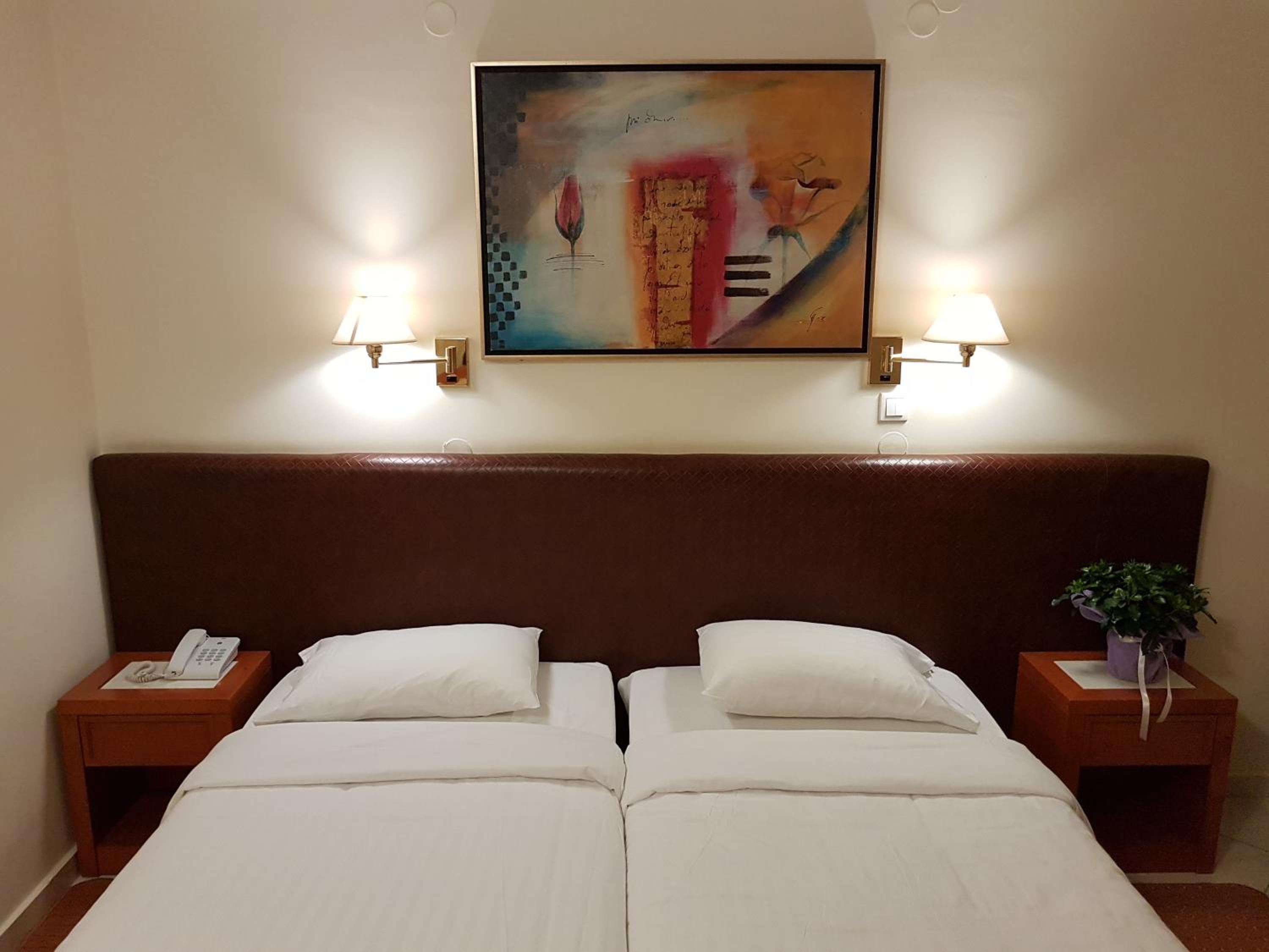 Standard Double or Twin Room photo 1