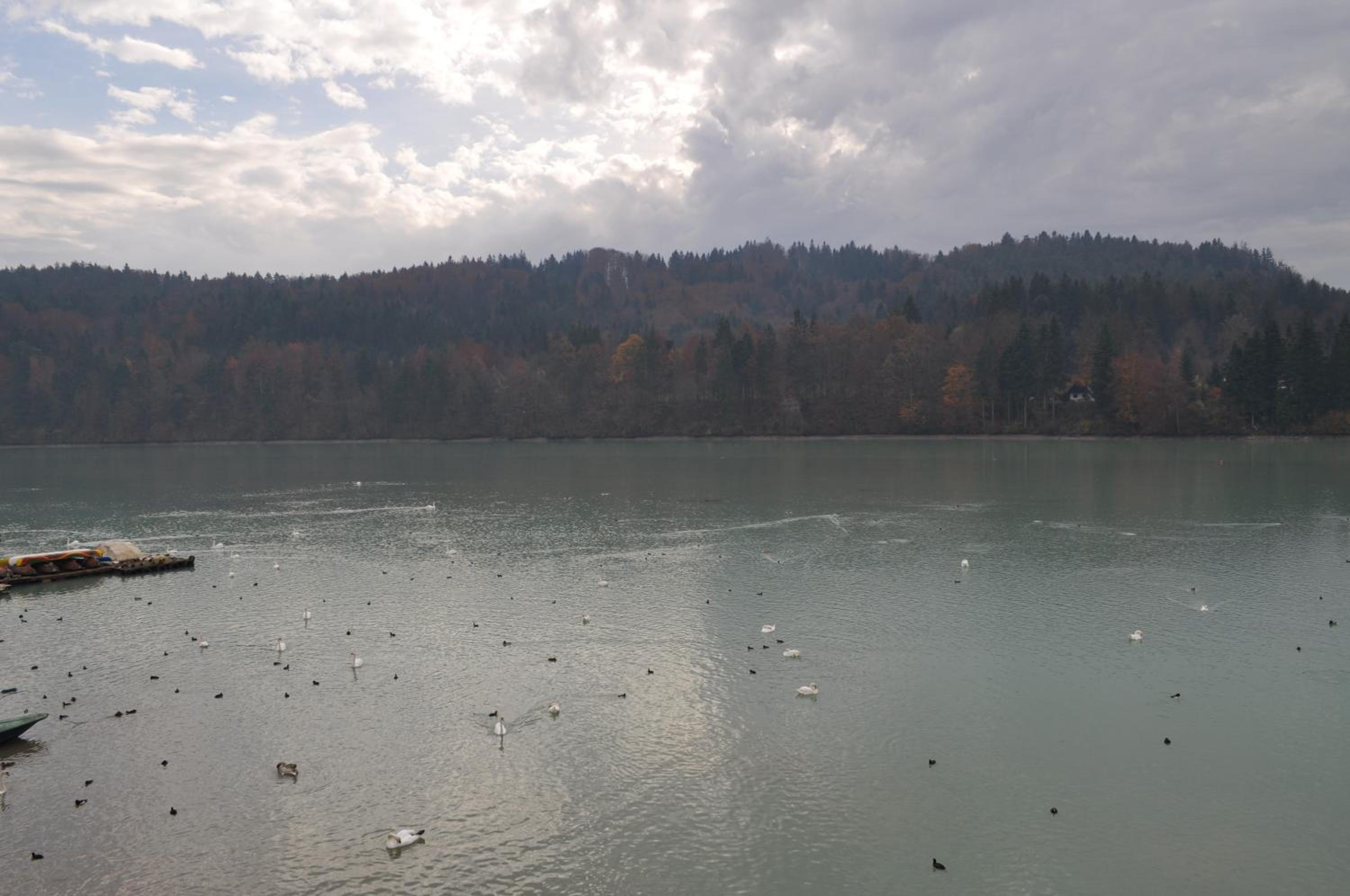 Double Room with Balcony and Lake View - Photo 27