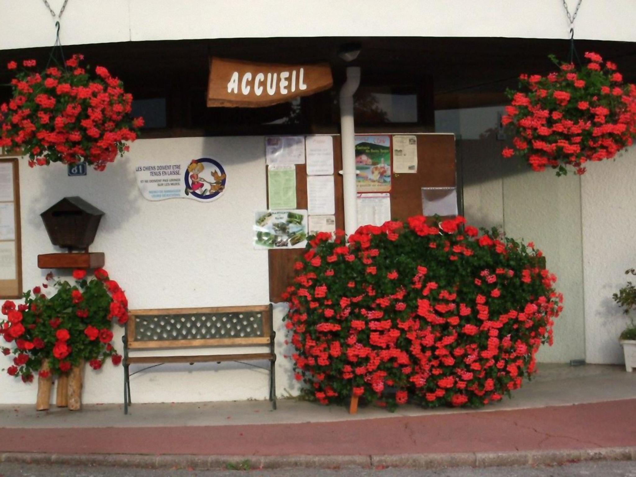 Two-Bedroom Chalet - Photo 5
