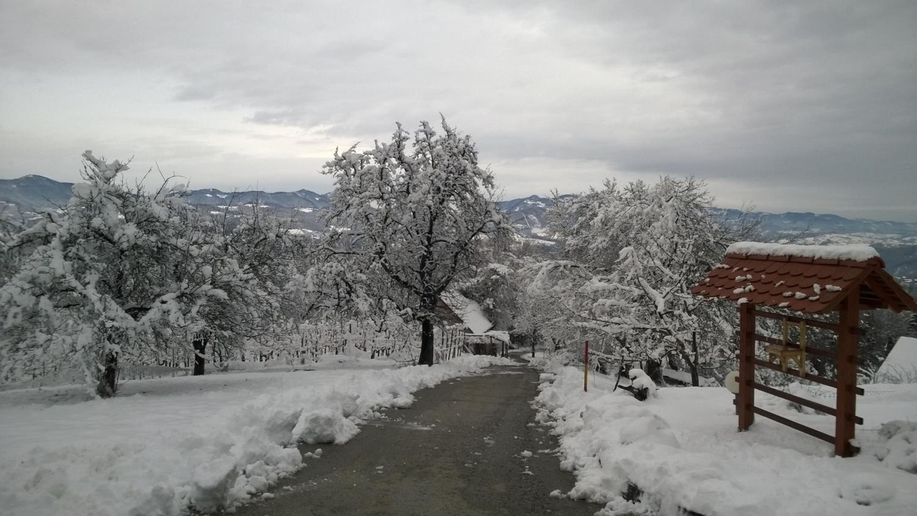 Vacation Home photo 1