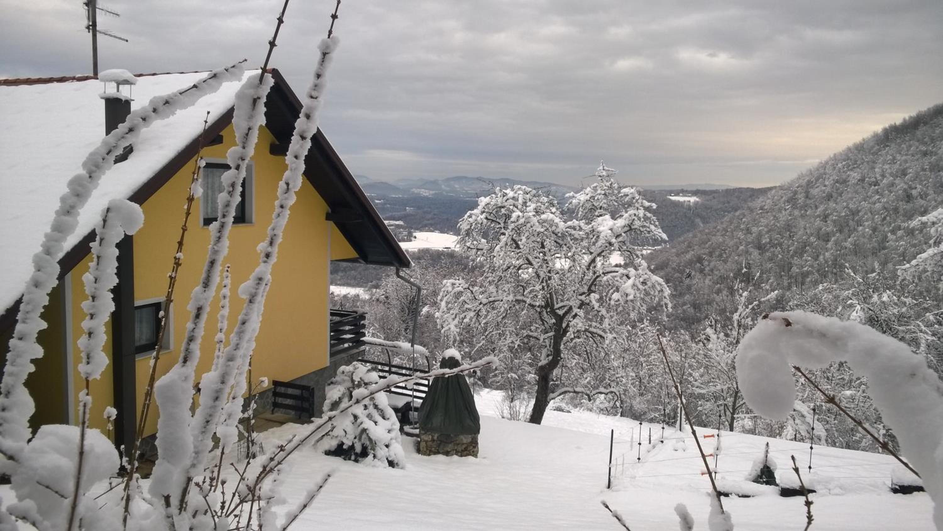Vacation Home photo 2