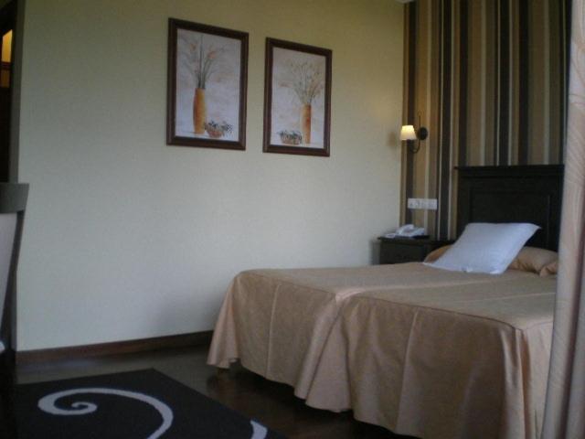 Superior Double Room photo 2