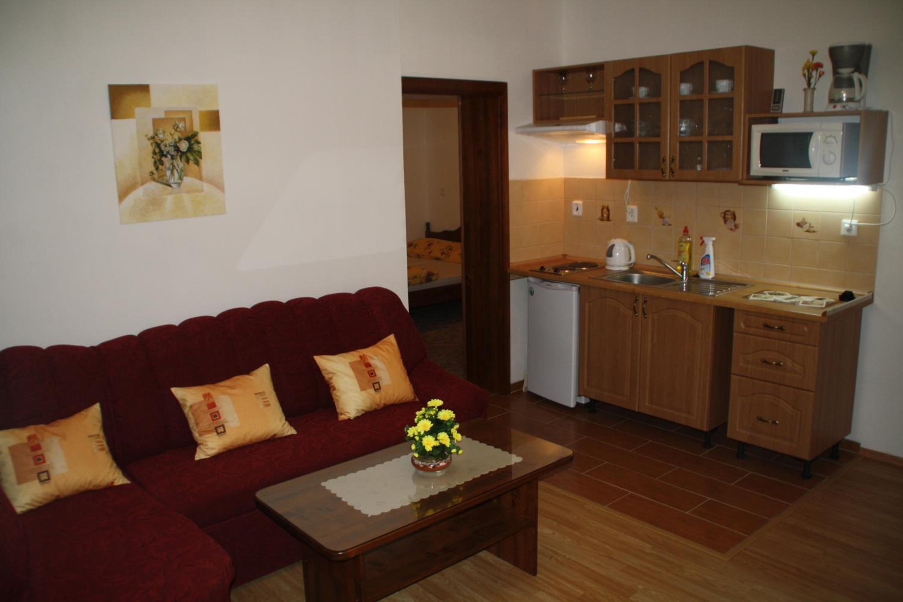 Economy One-Bedroom Apartment with Terrace photo 3