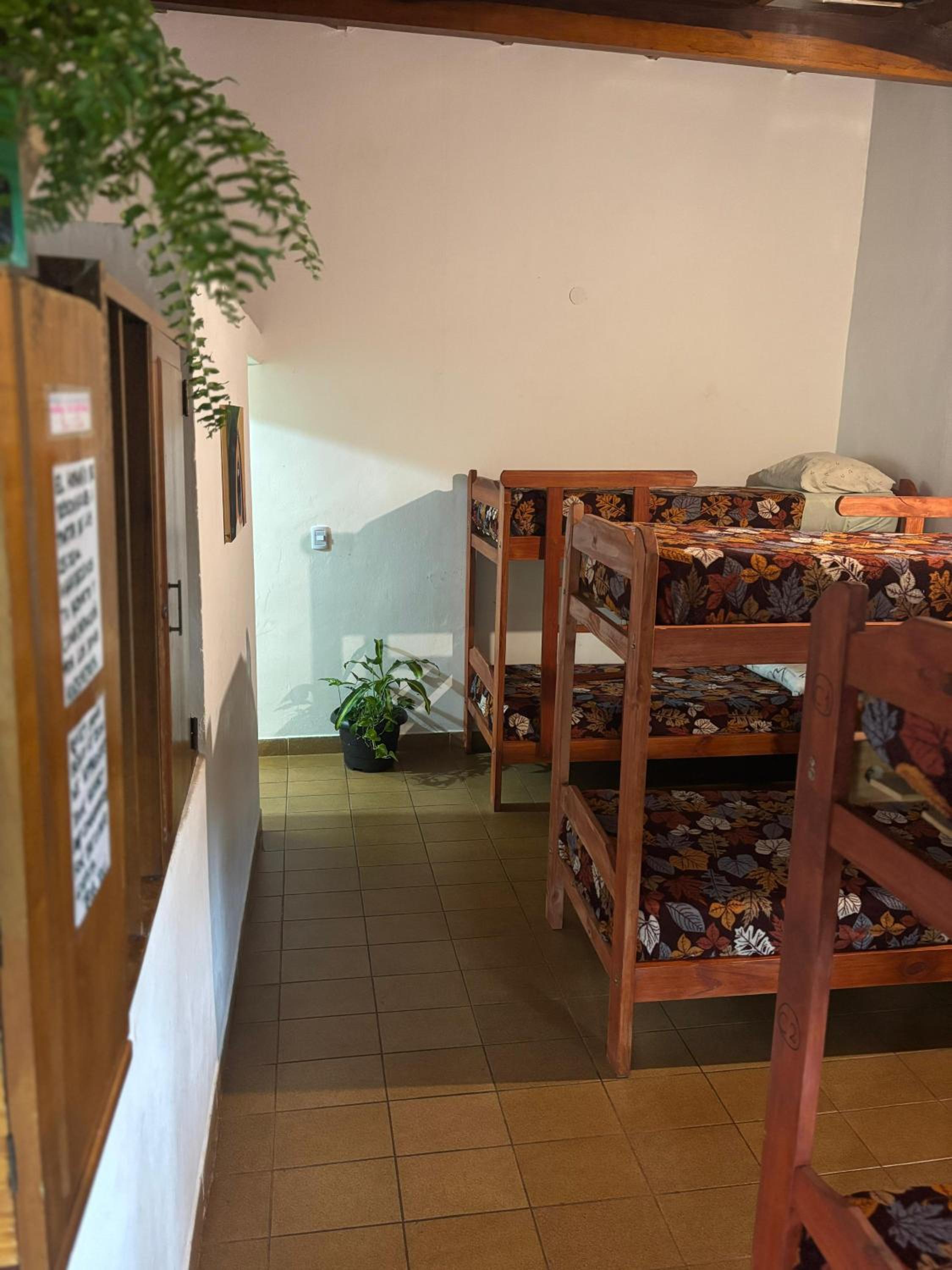 Bed in 6-Bed Dormitory Room