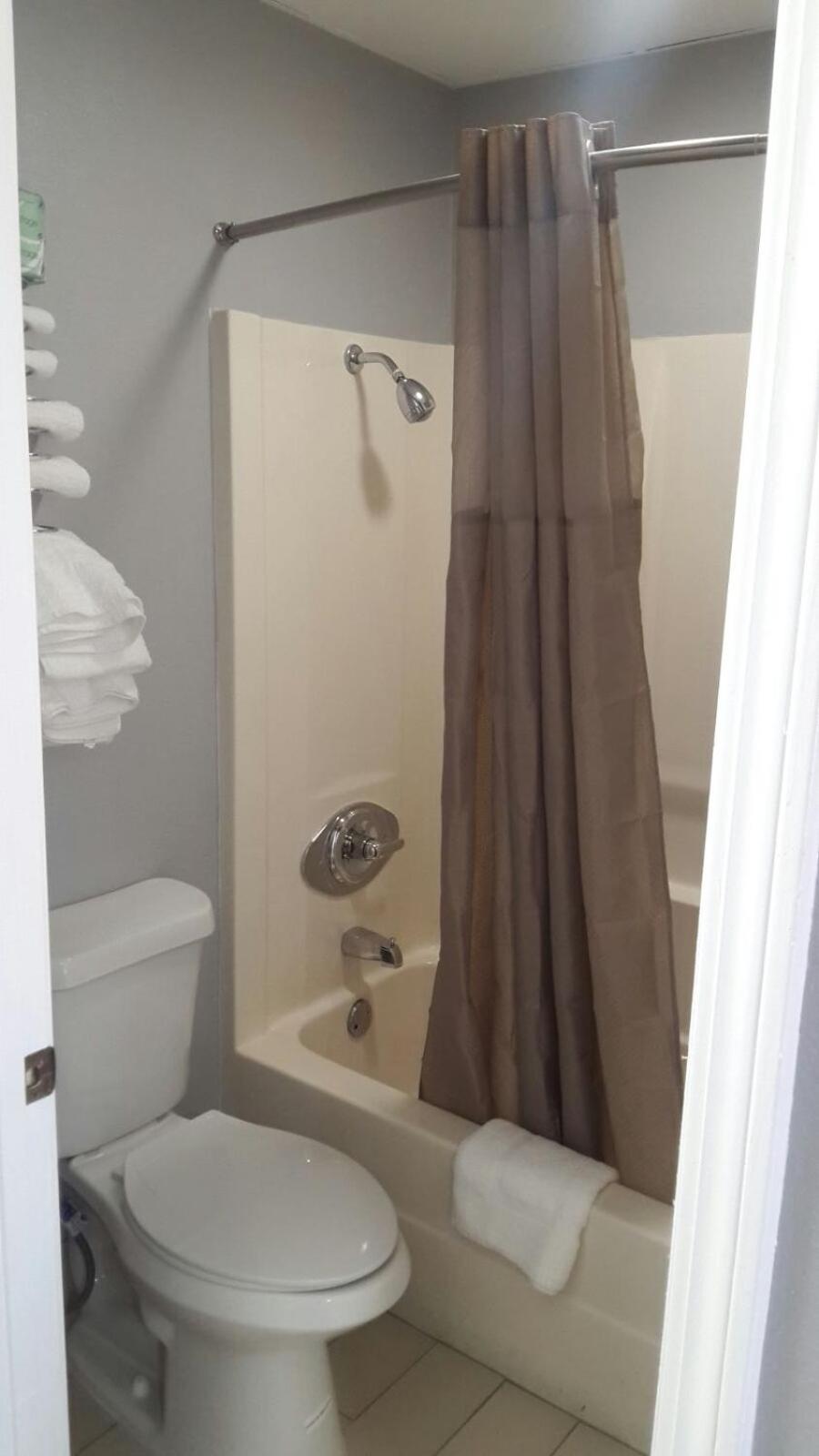 Large Single Room photo 3