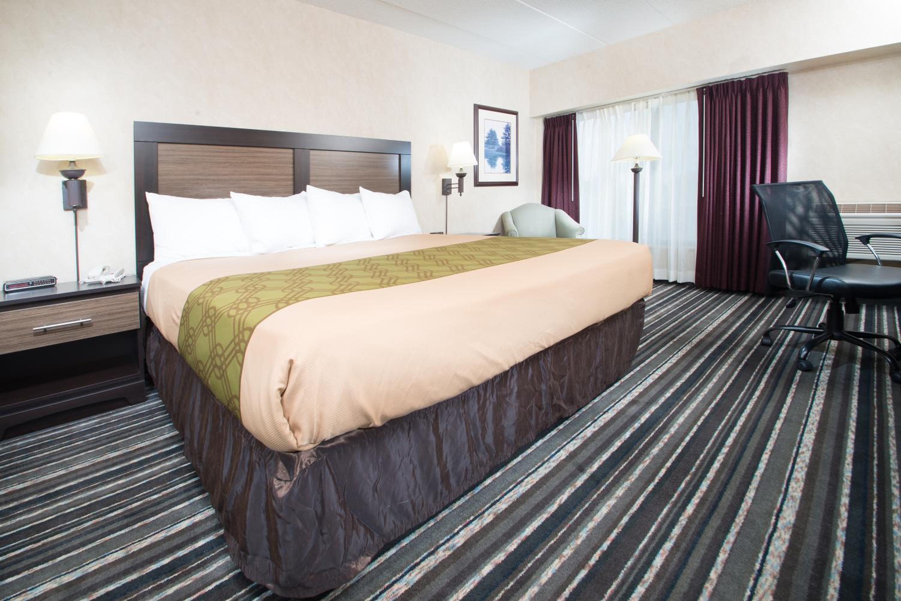 Standard King Room photo 1