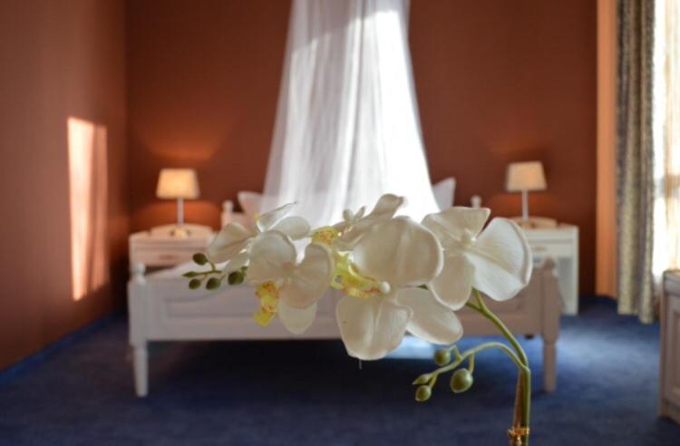 Junior Suite (3 Adults) photo 1