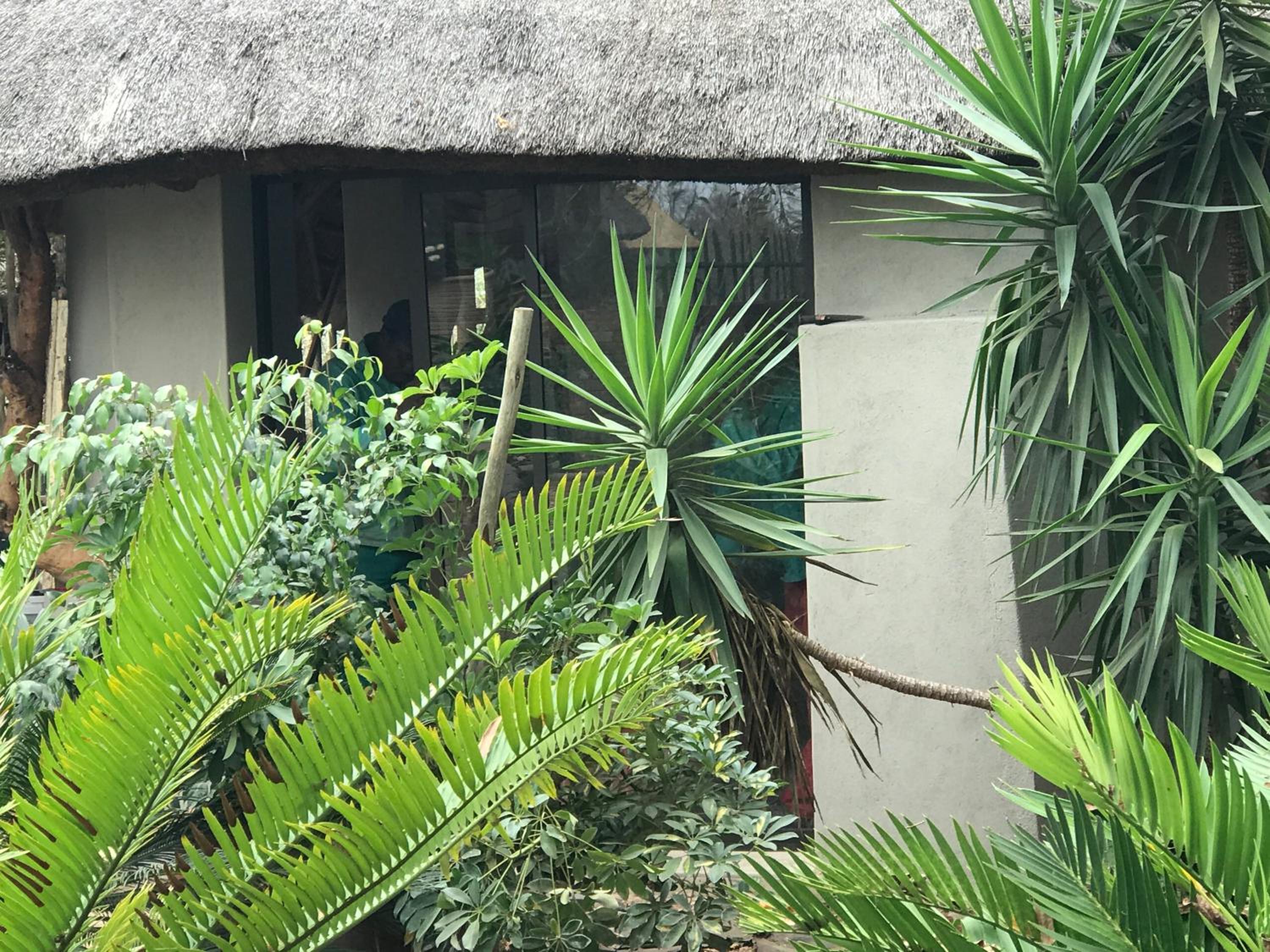 Three-Bedroom Villa - Photo 10
